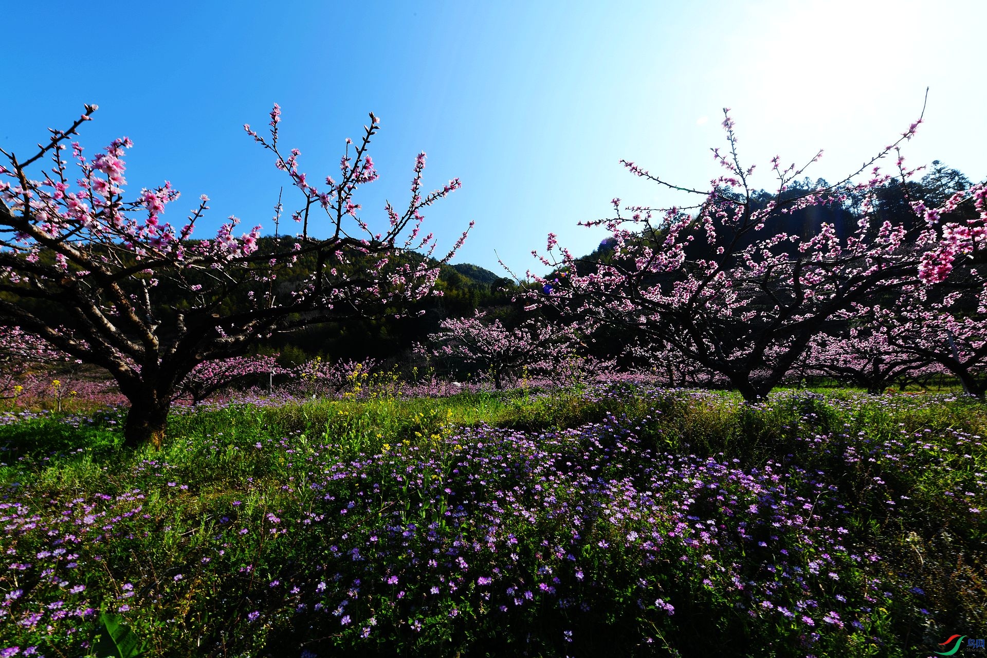 DSC_9044.jpg