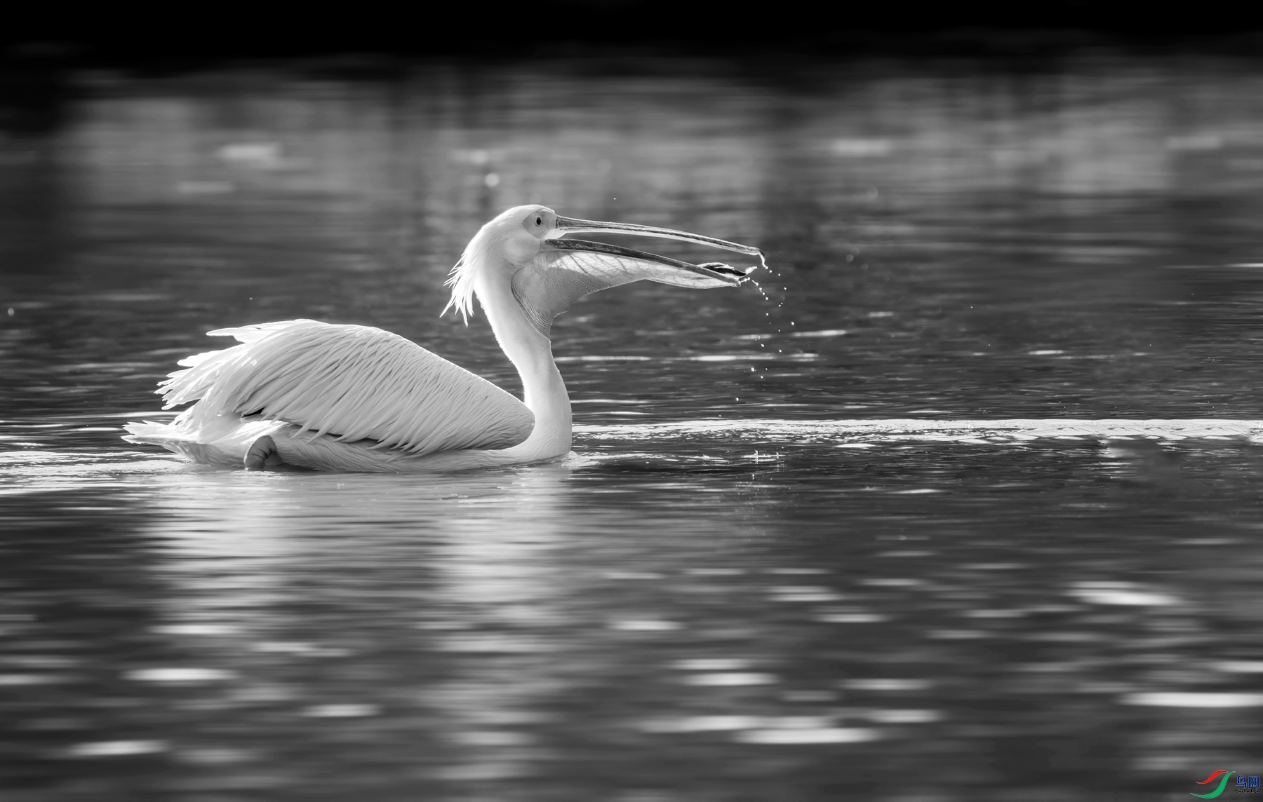 DSC03083 ����_����.jpg