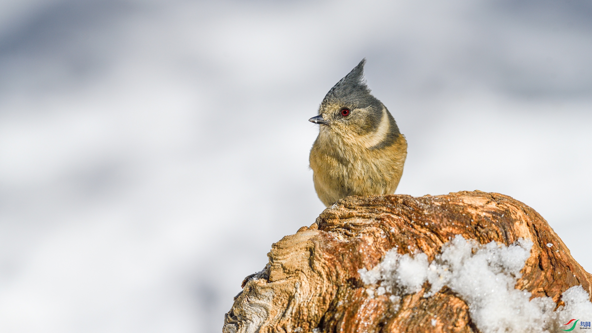_DSC8711_����.jpg