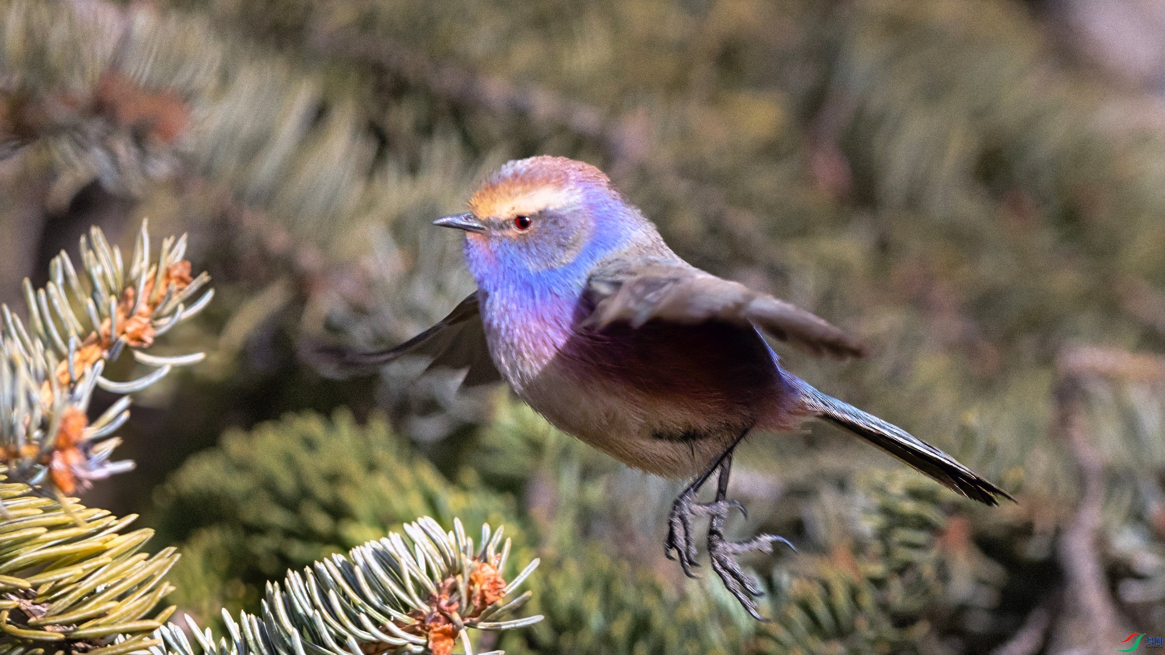 R5_21662 ���� 2_����.jpg