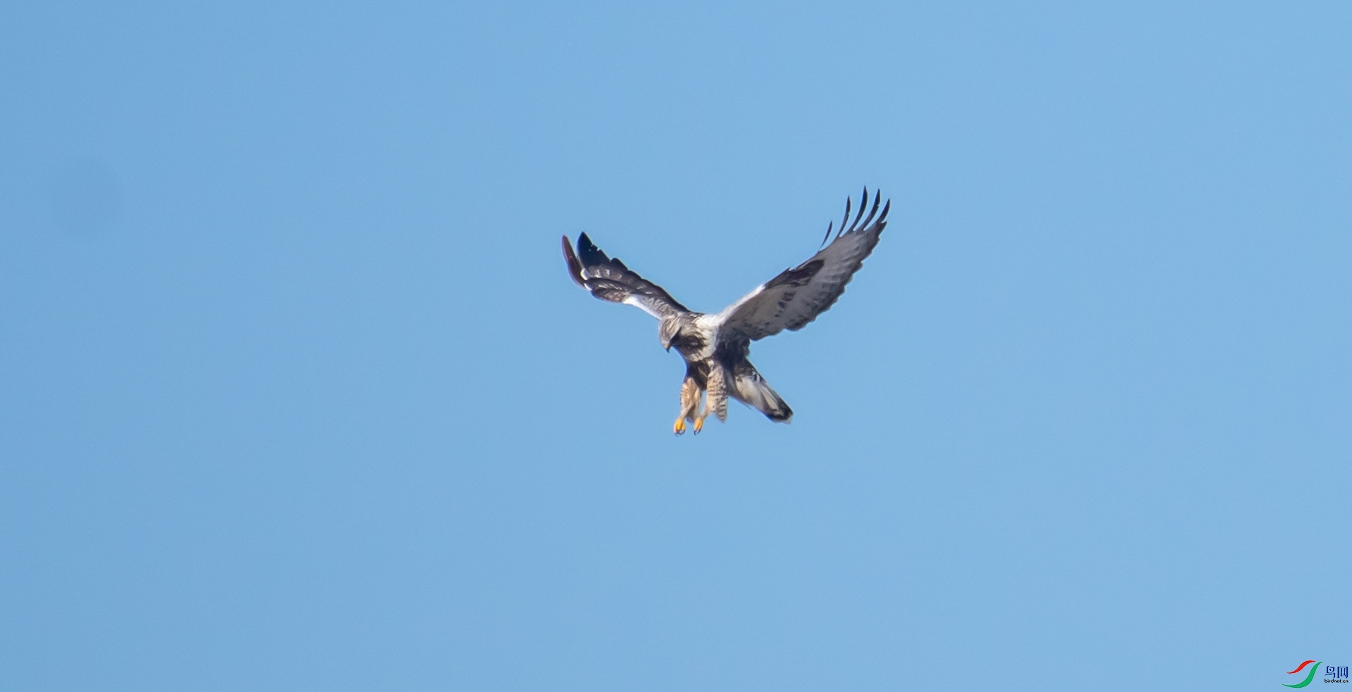 DSC_2858.jpg