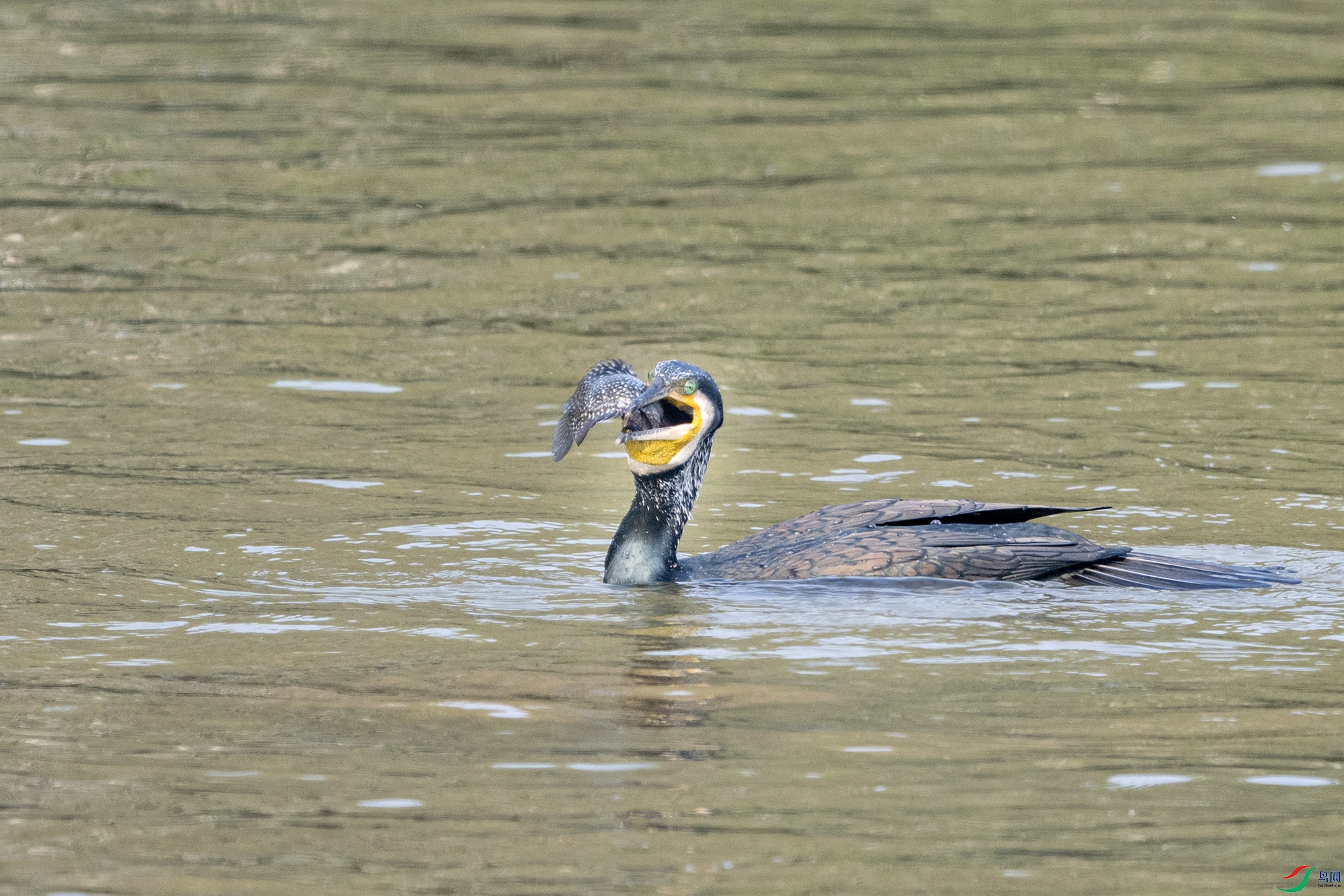 DSC_2643.jpg