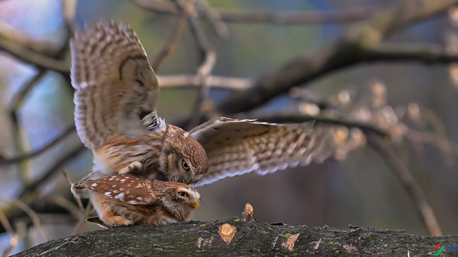 3��23�� (3)-���� ����.jpg