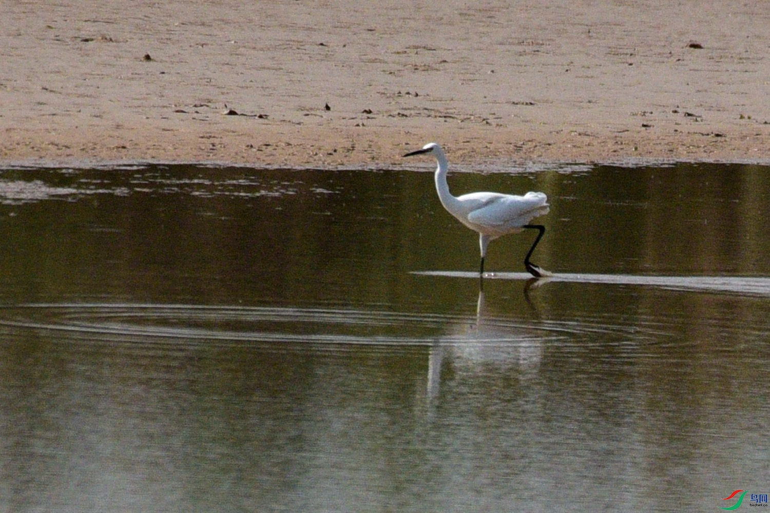 DSC_7933.JPG