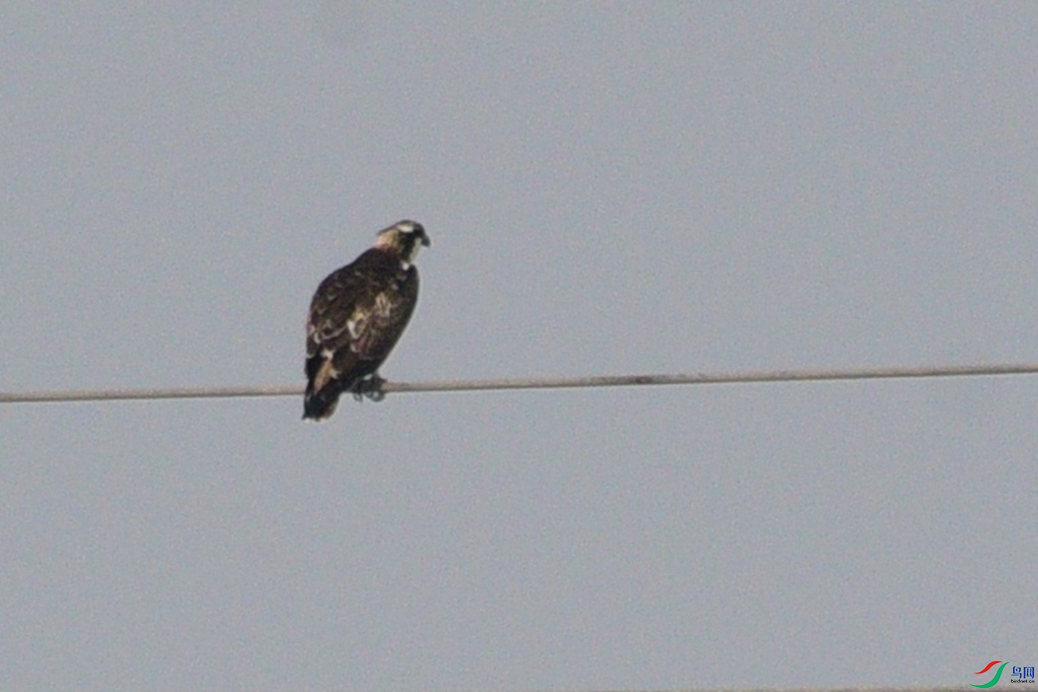 DSC_8021.JPG