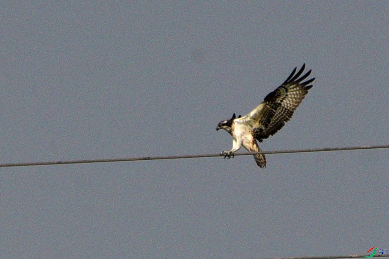 DSC_8041.JPG