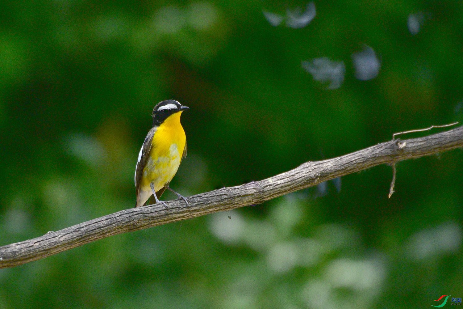DSC_6068.JPG