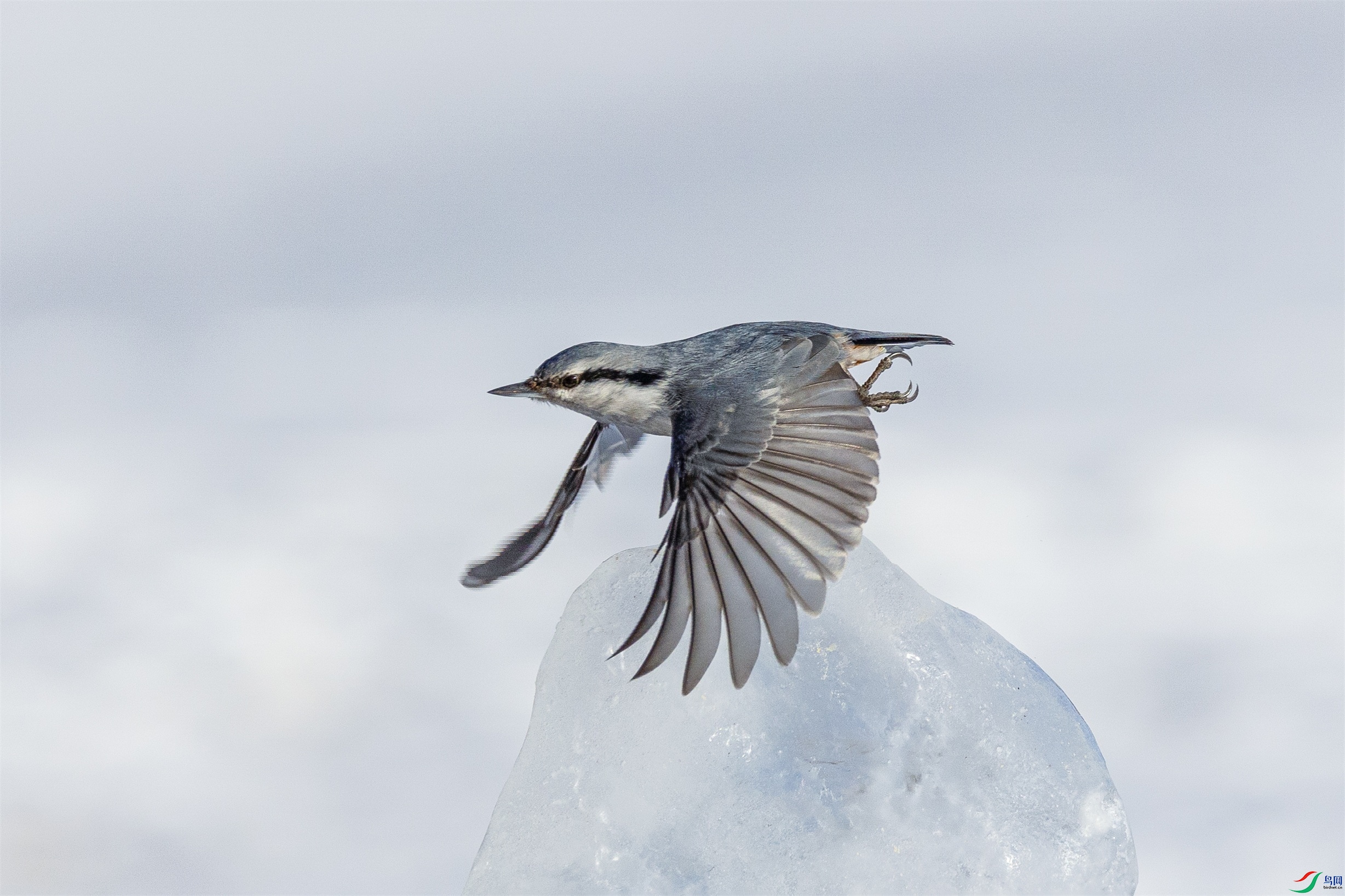 1K3A8707 ����1.jpg