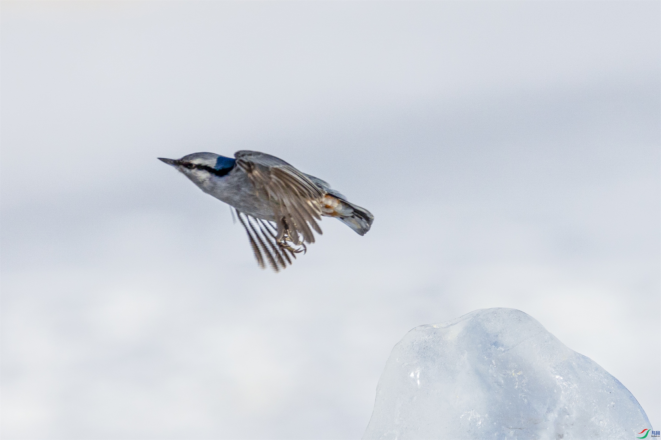 1K3A8709 ����1.jpg