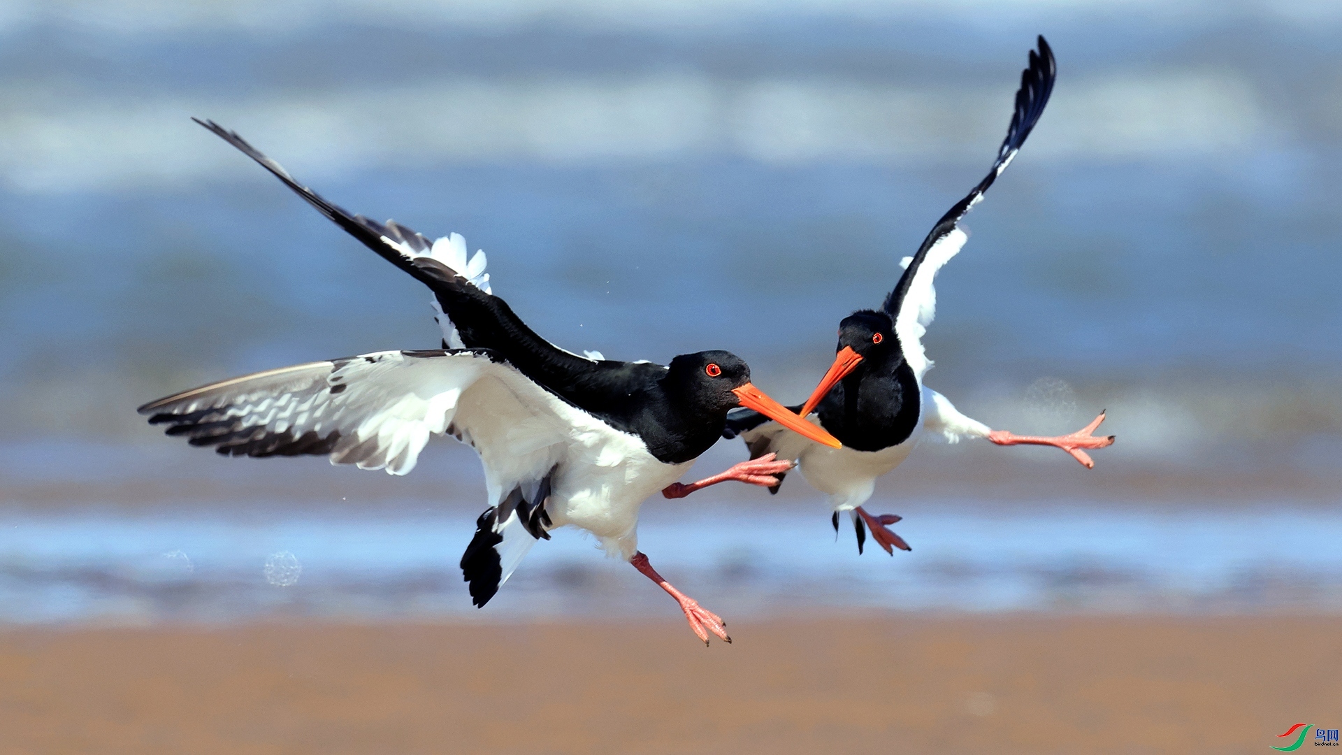 ÿ��һͼ ����֮��  ���� ������ ����.jpg