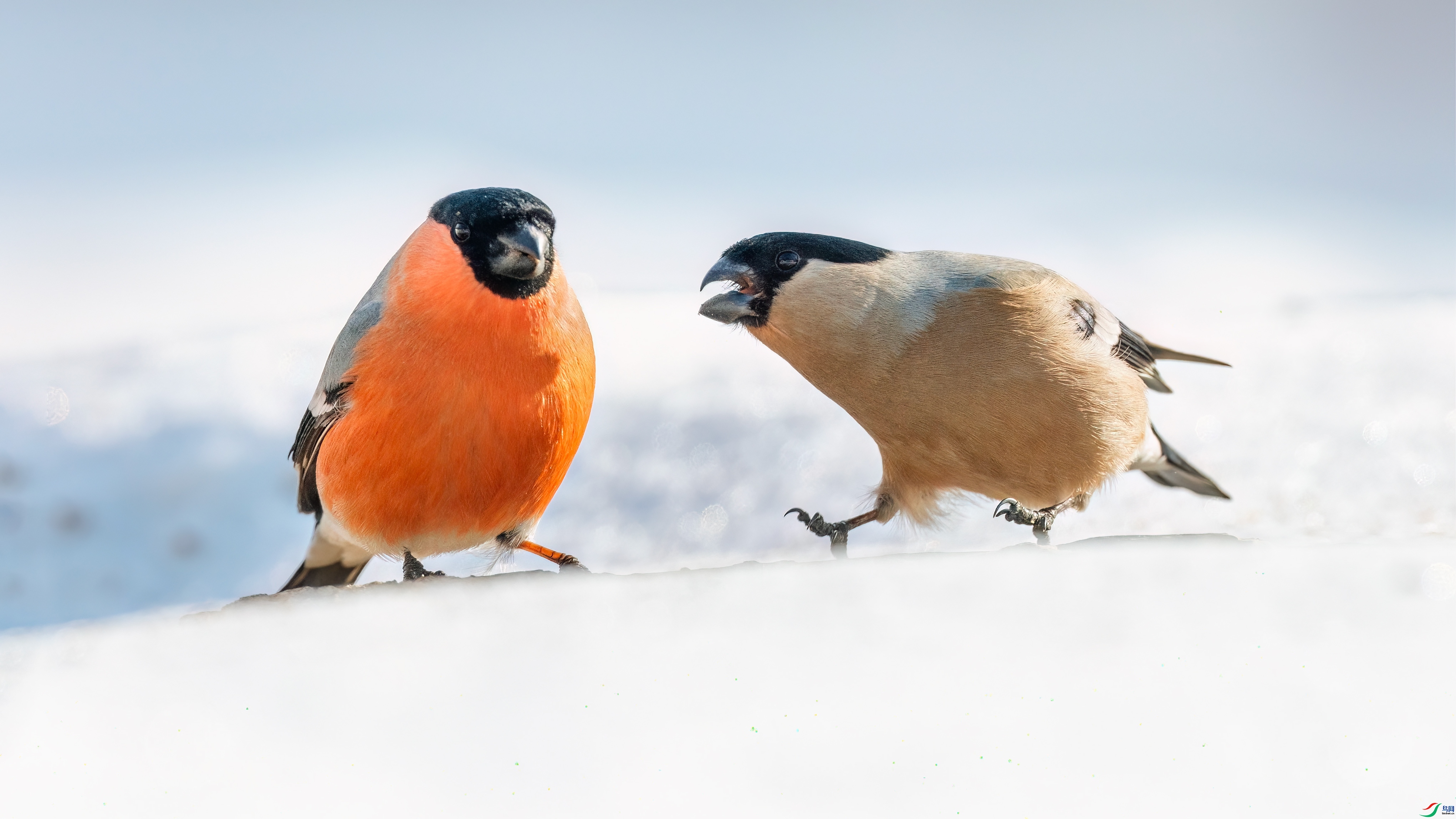 �������� ���� ��־���� ��һ.jpg