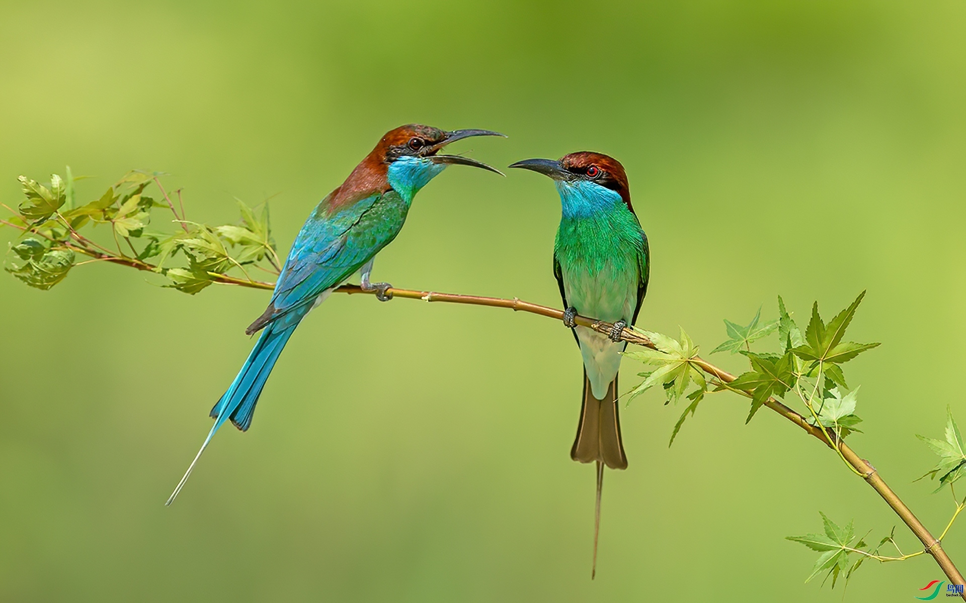 �����仢  ���� л���� ��һ.jpg