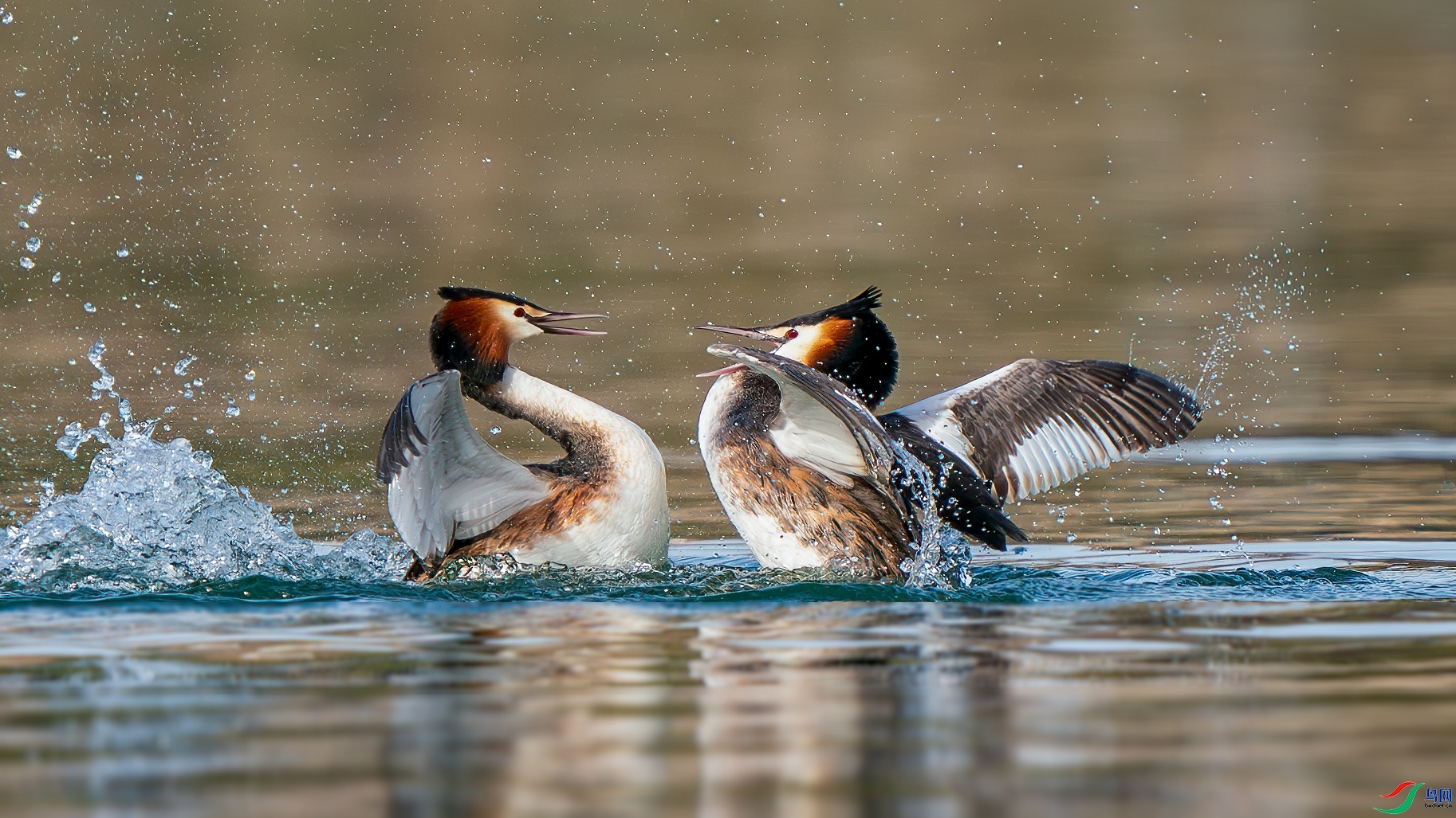 ��ս ���� �������� �ܶ�.jpg