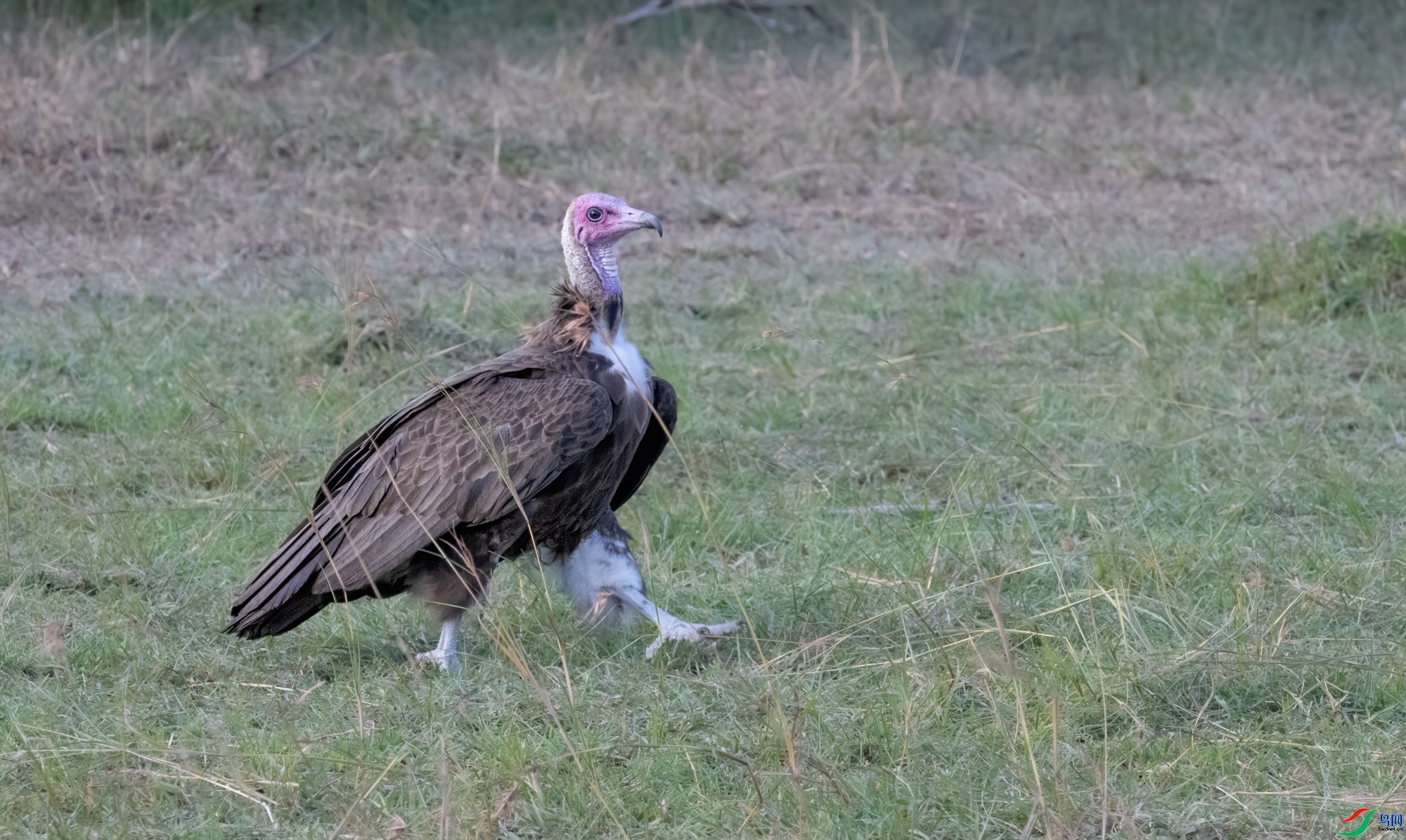 ����ͺ��  ���� ��Ͽ֮�� �ܶ�.jpg