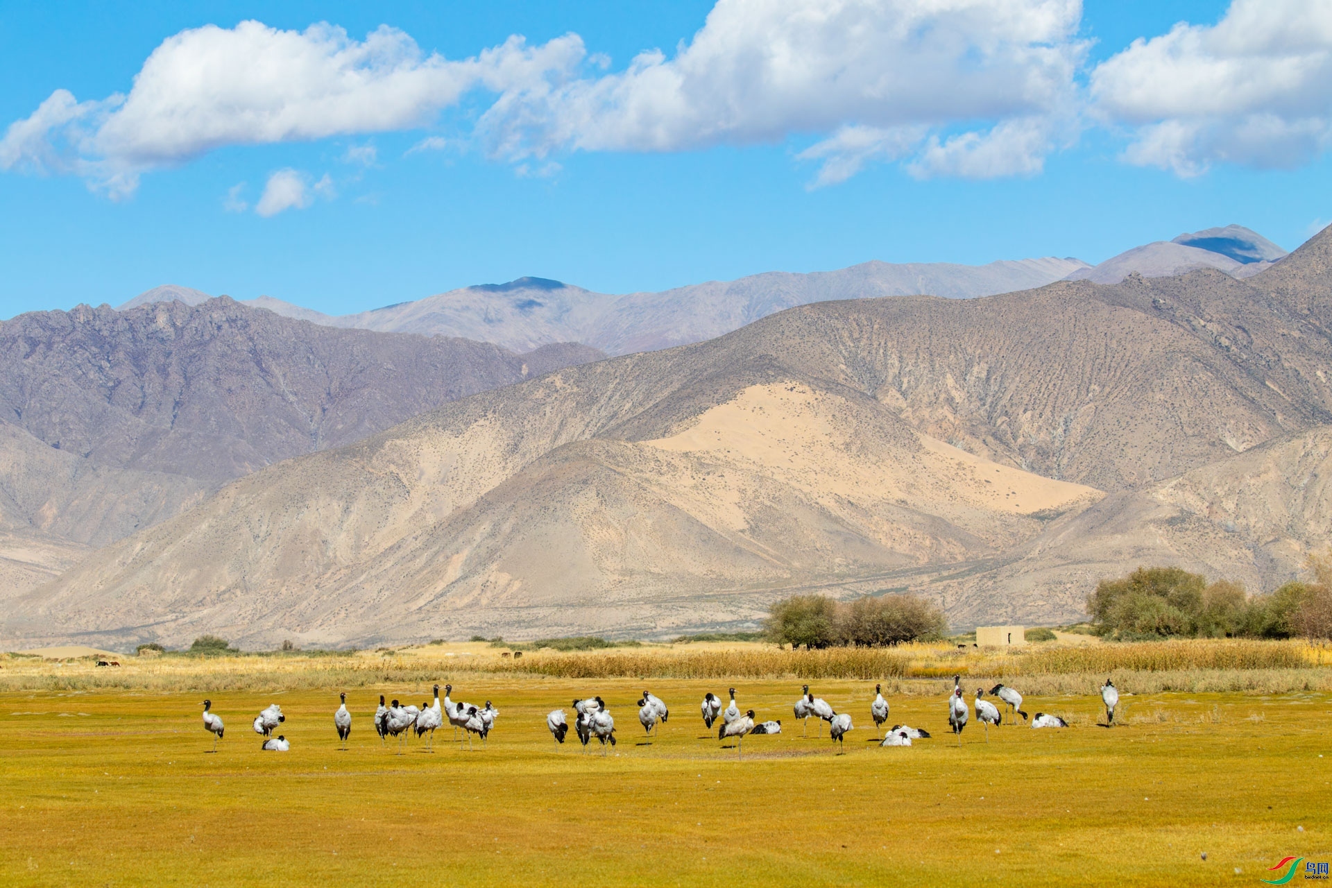 Ǩ��;�� ���� ɽɽɽ �ܶ�.jpg