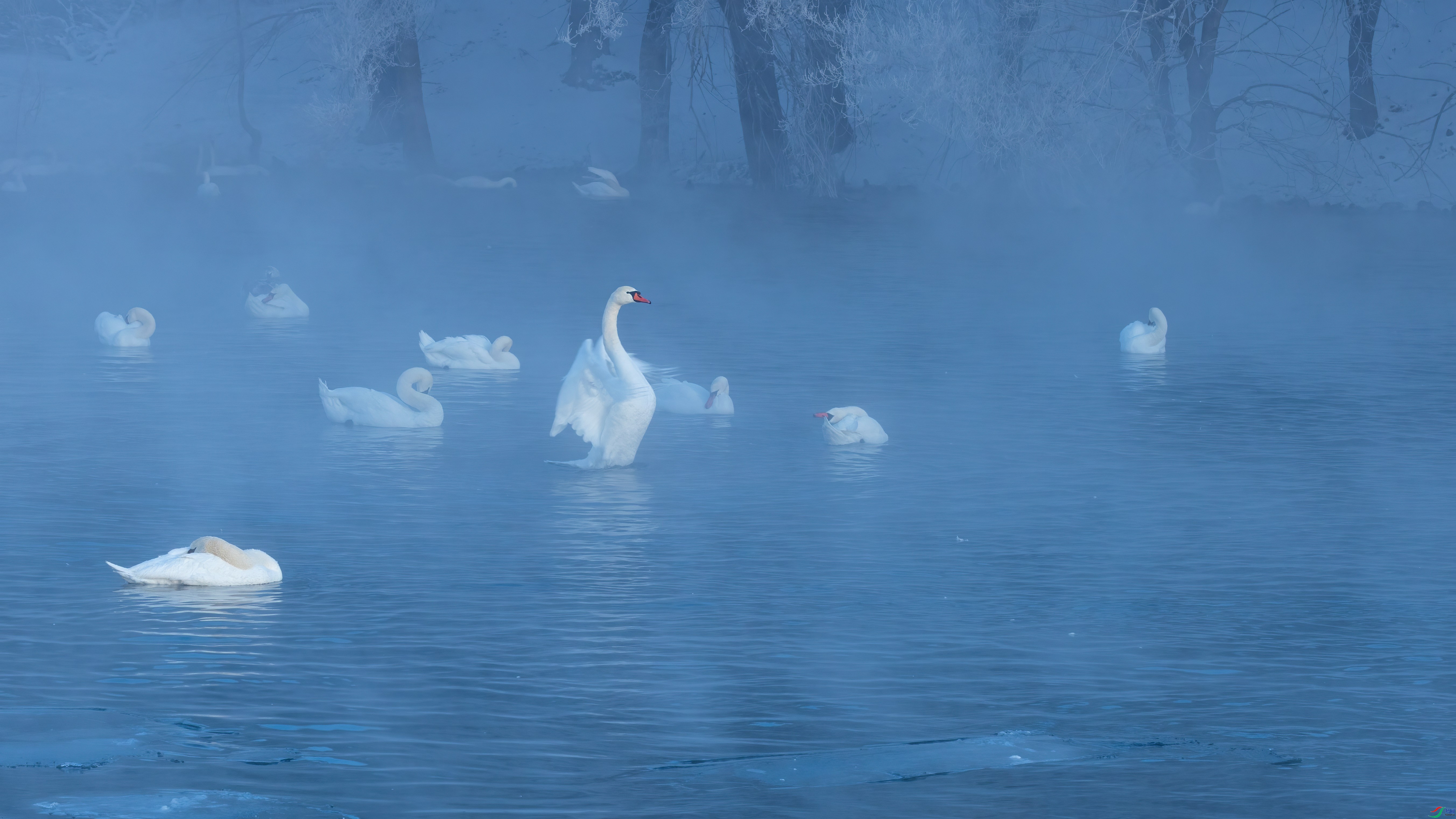 ��������  ���� Сƽ ����.jpg