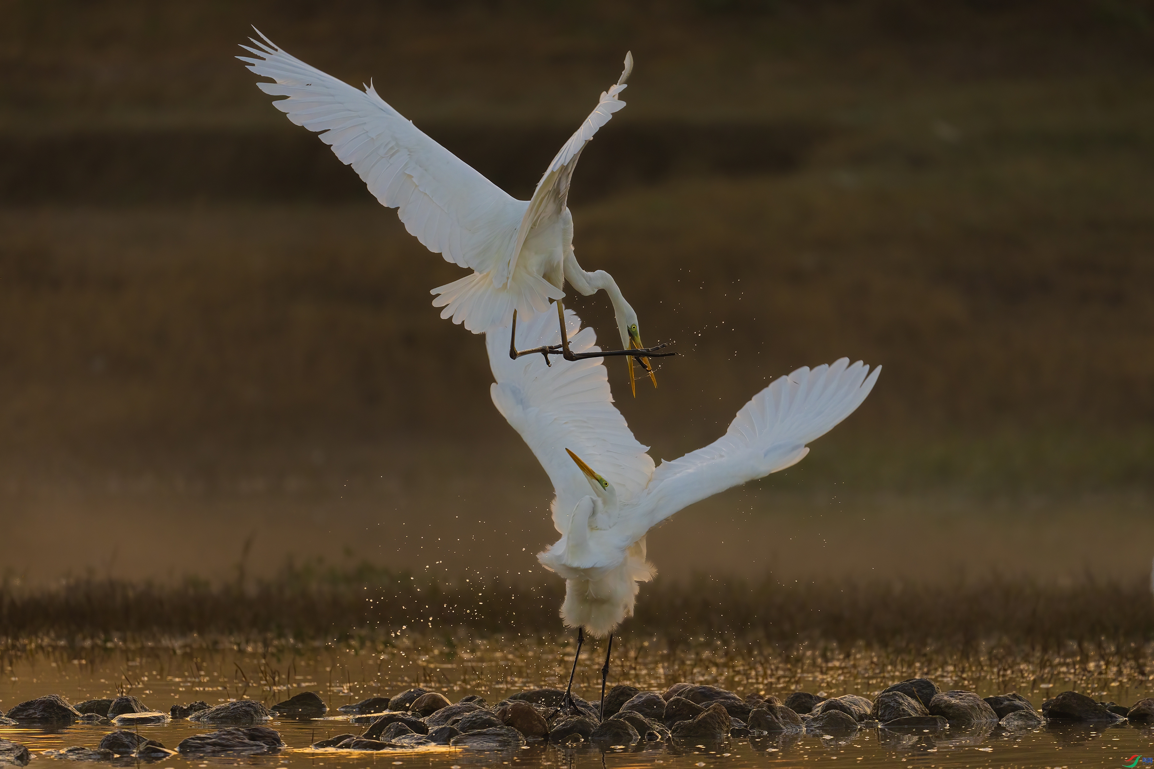 �� ���� ����· ����.jpg