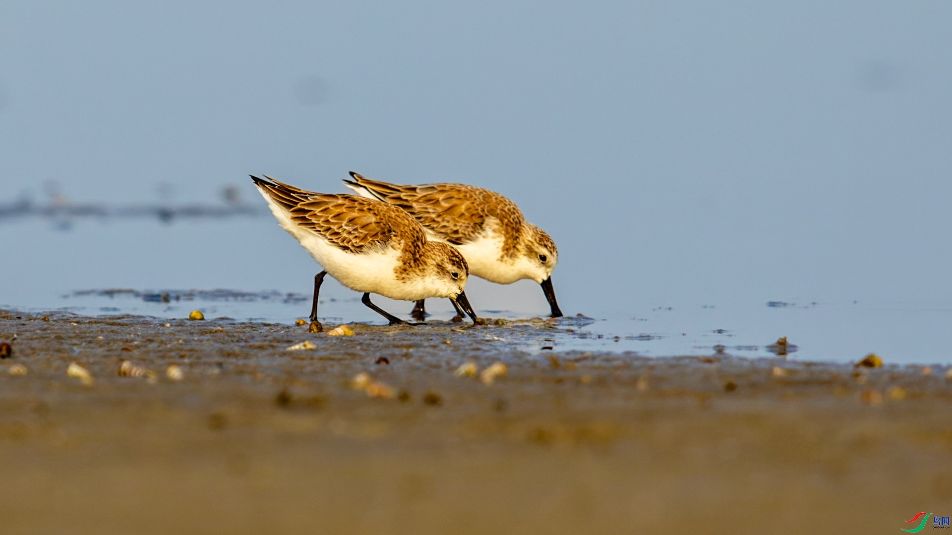 ������ʳ  ���� ɽɽɽ ����.jpg