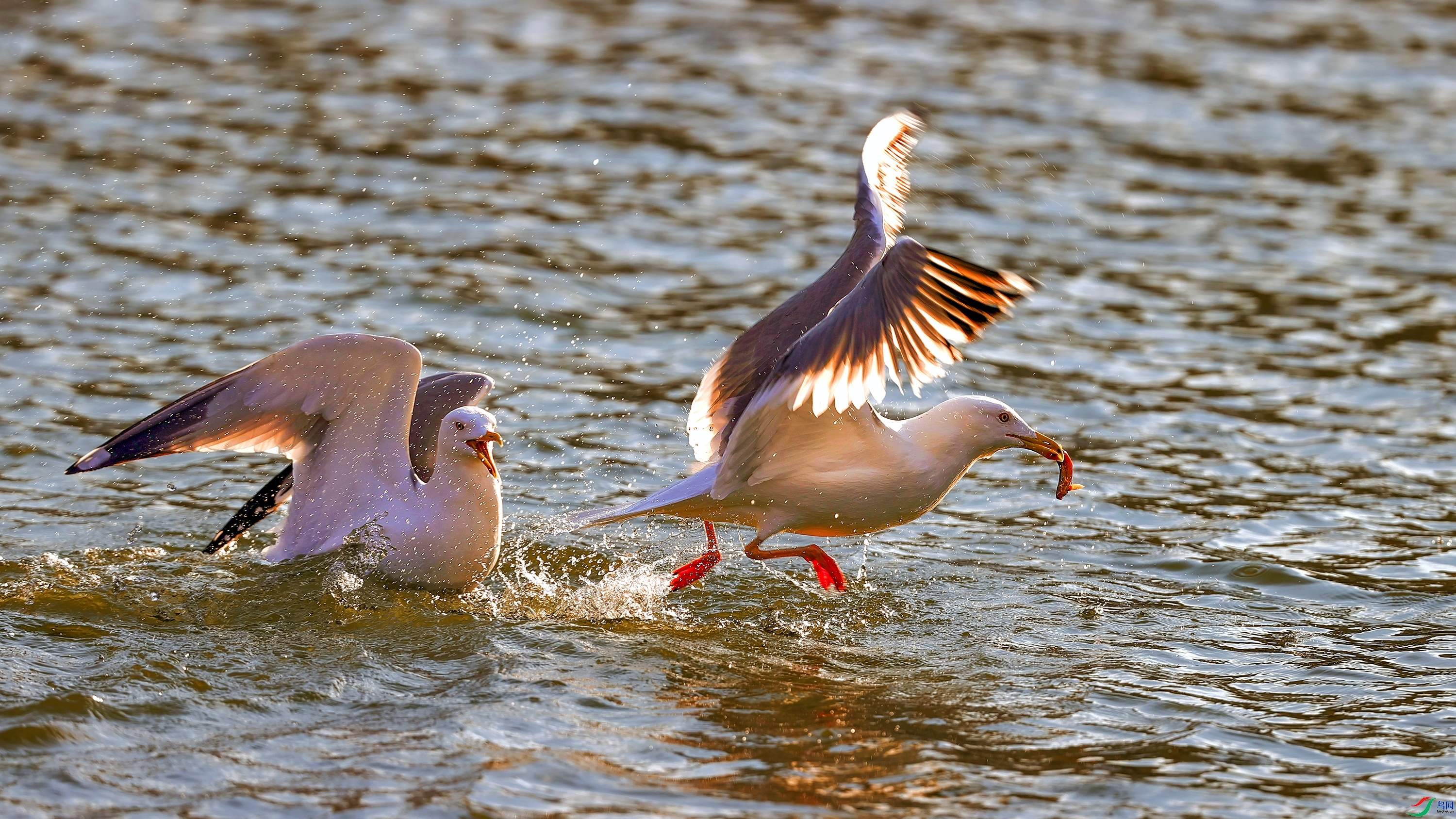 �������� ���� ���� ����.jpg