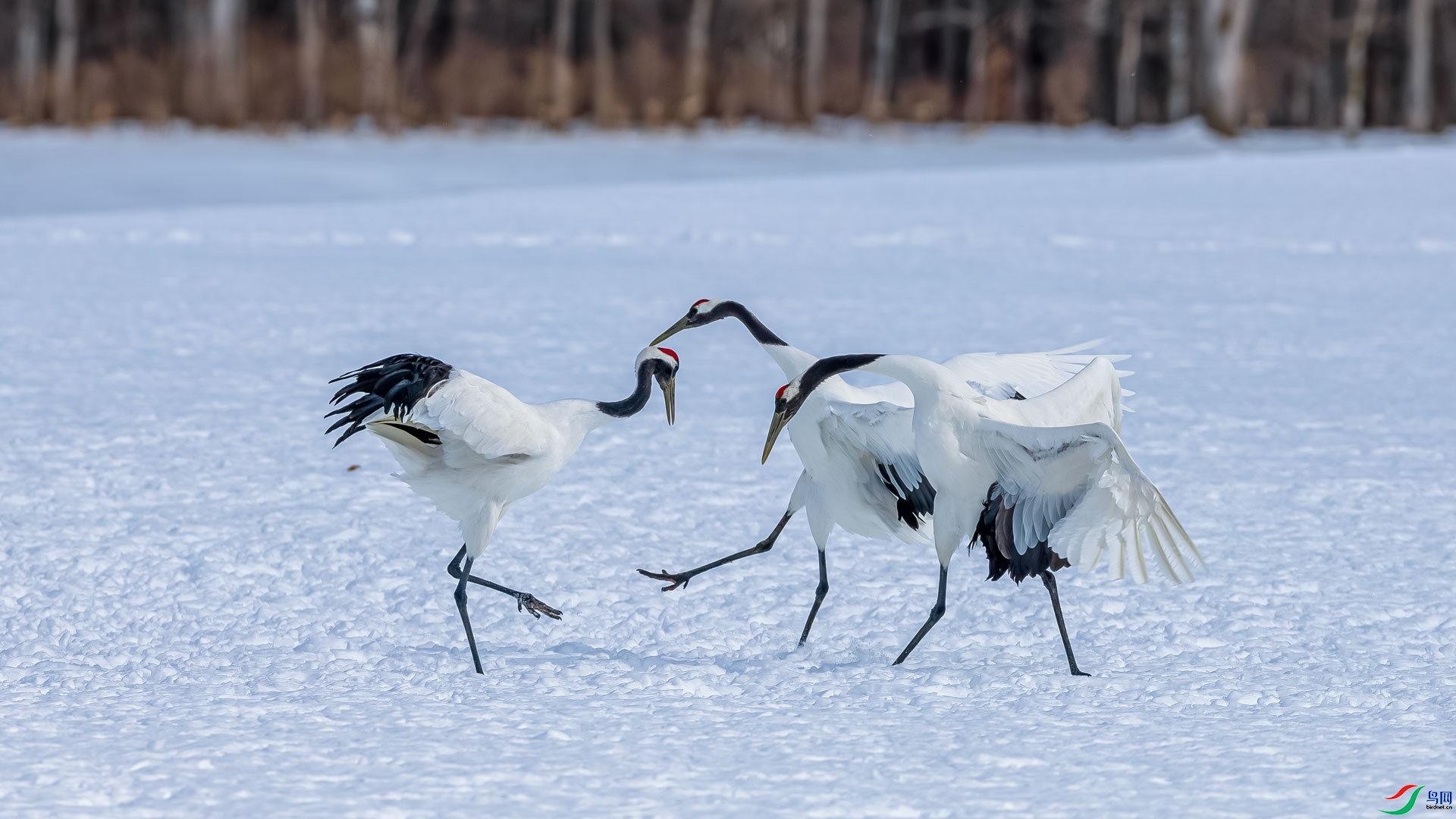 ������� ���� ɳ���Խ� ����.jpg