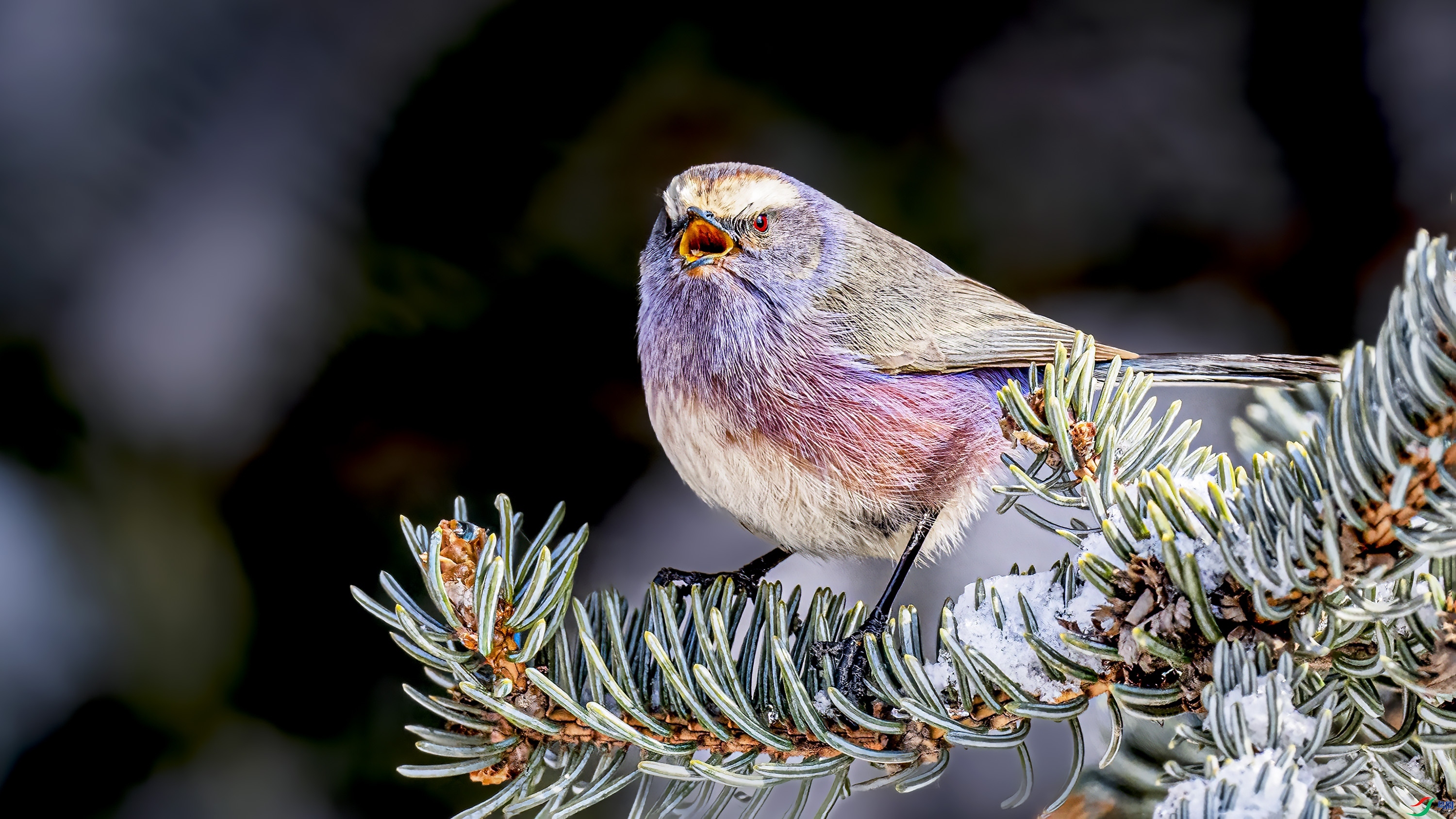 �������� ���� wh�ϳ� ����.jpg