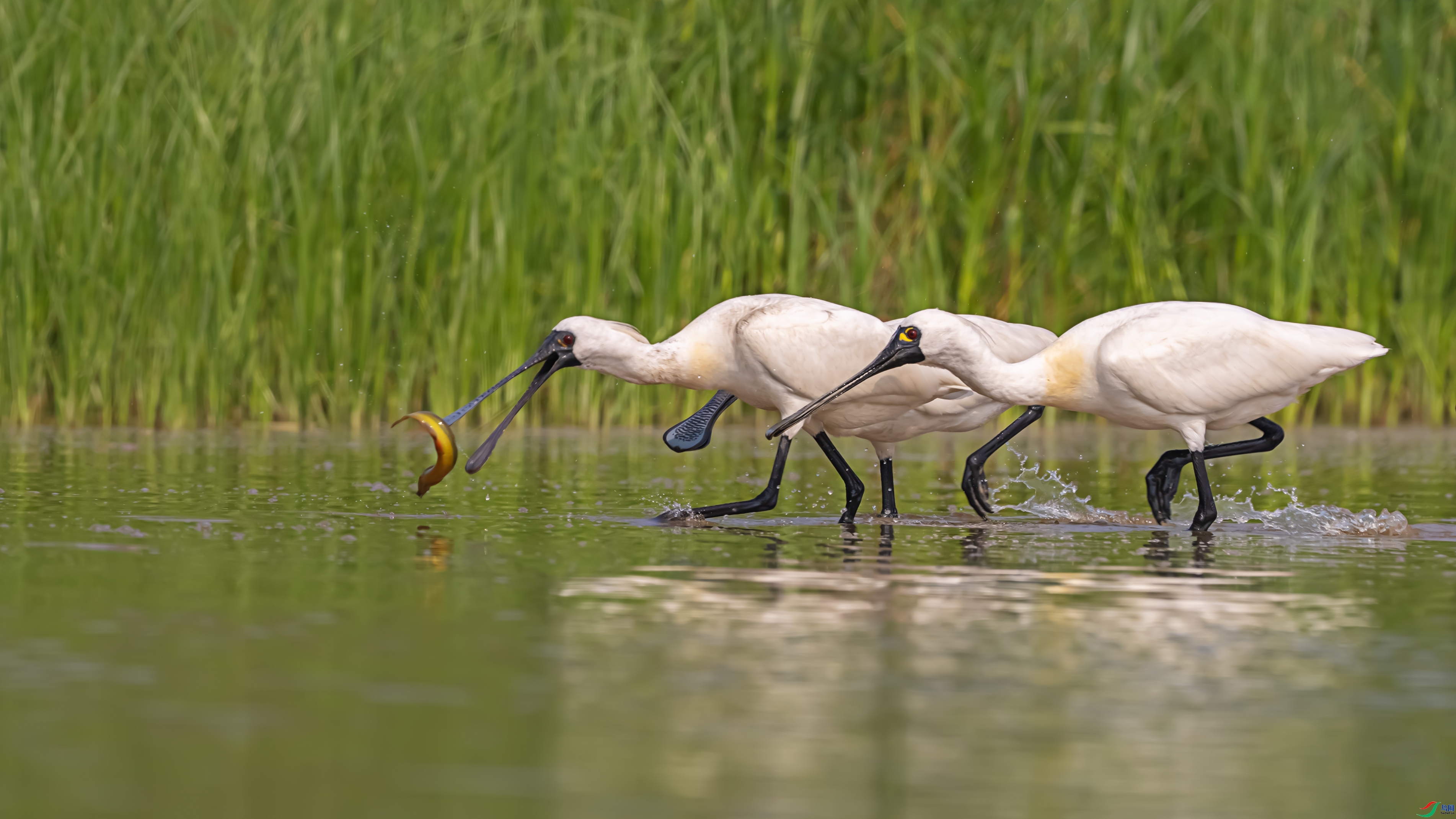 ����һ�� ���� ������ͷ ����.jpg