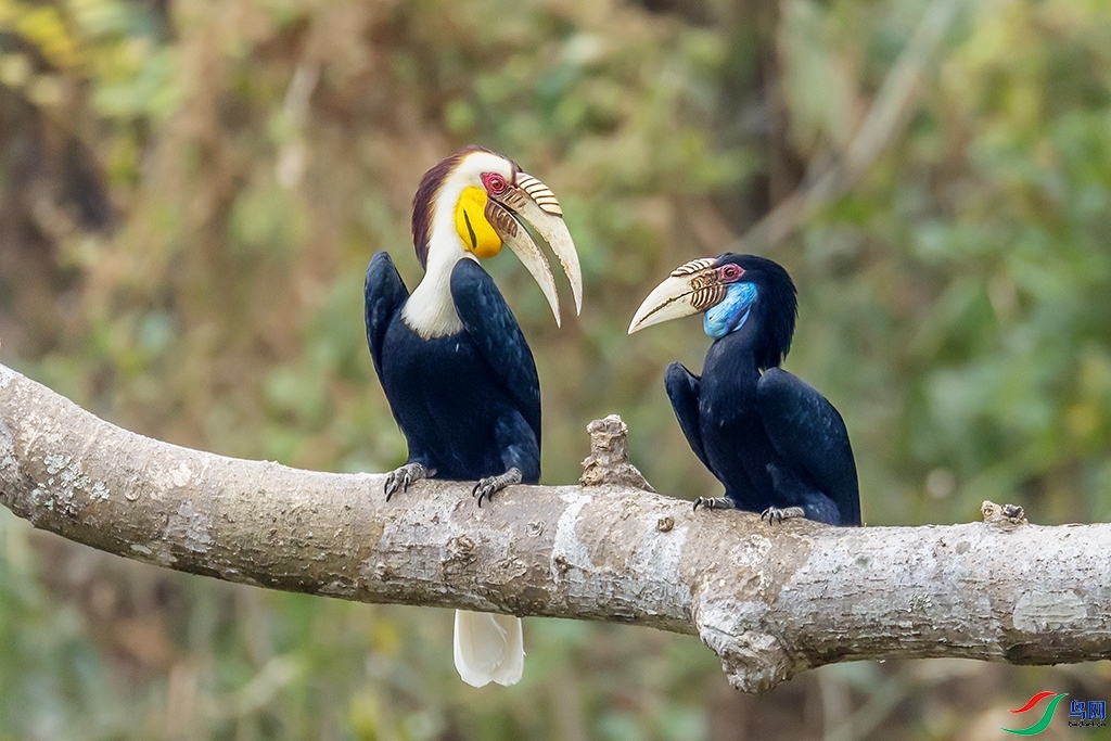 ����  ���� ���ַ� ����.jpg