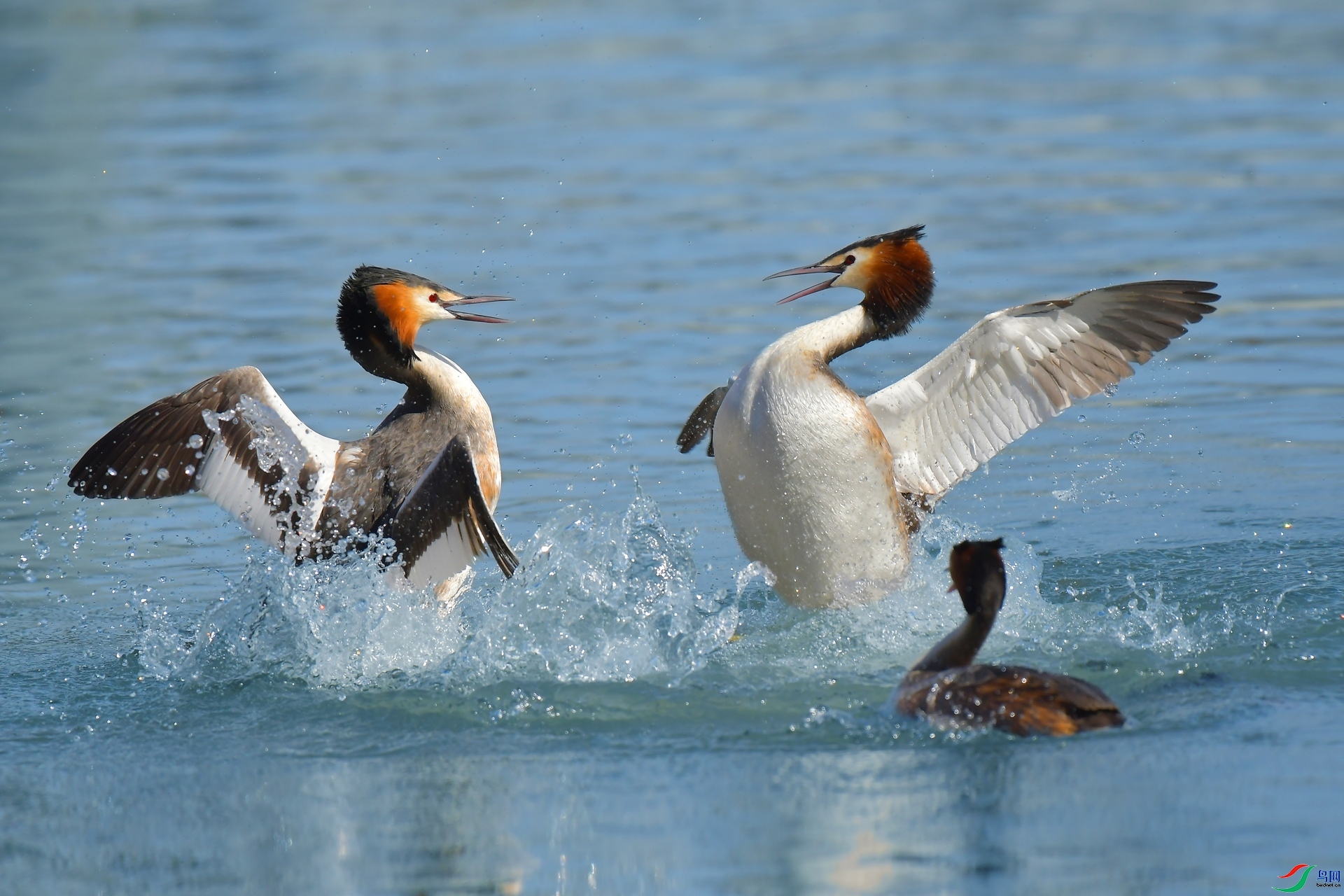 �������� ���� ����С�� ����.jpg