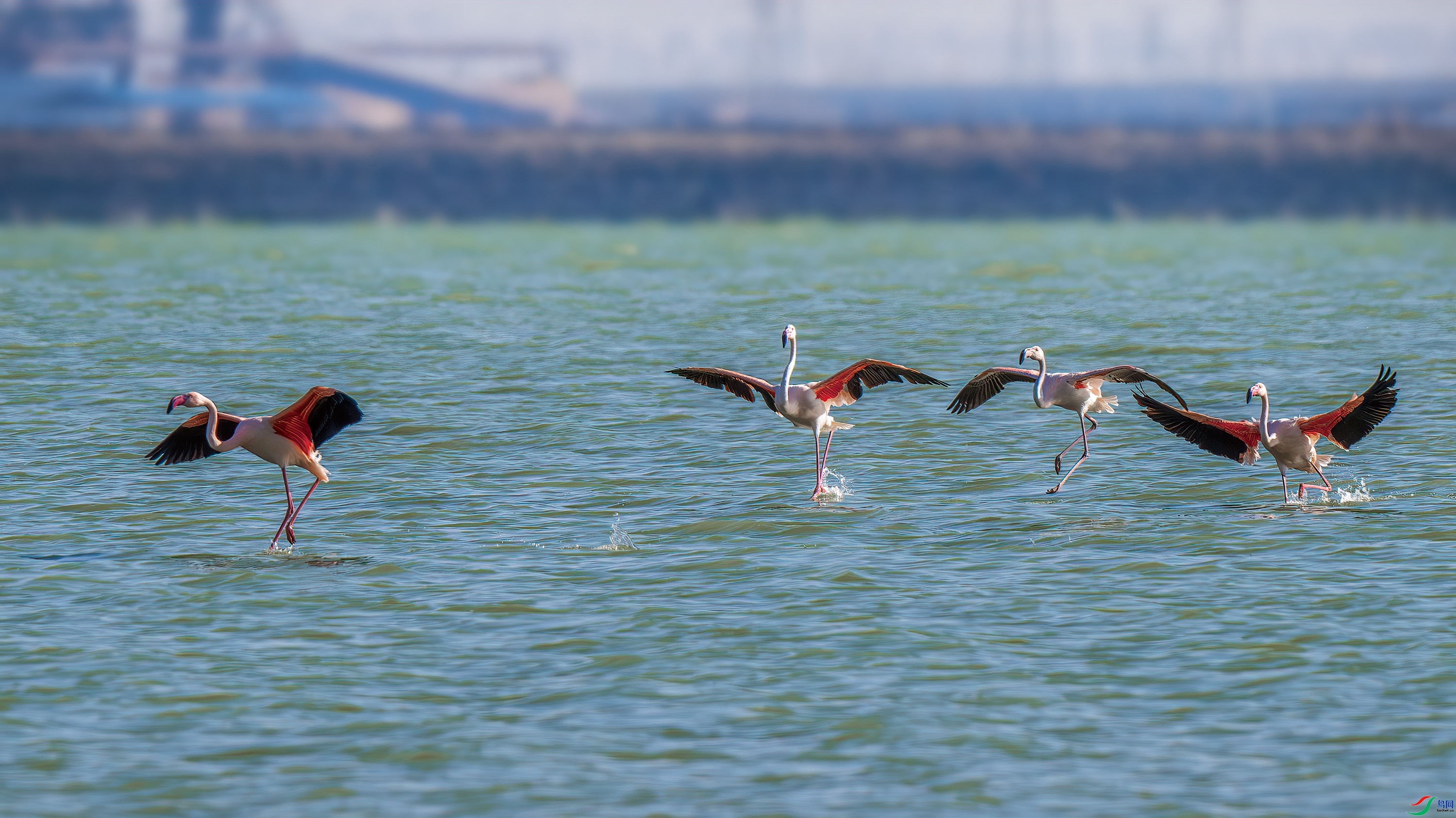 ������ ���� ��ѧ�� ����.jpg