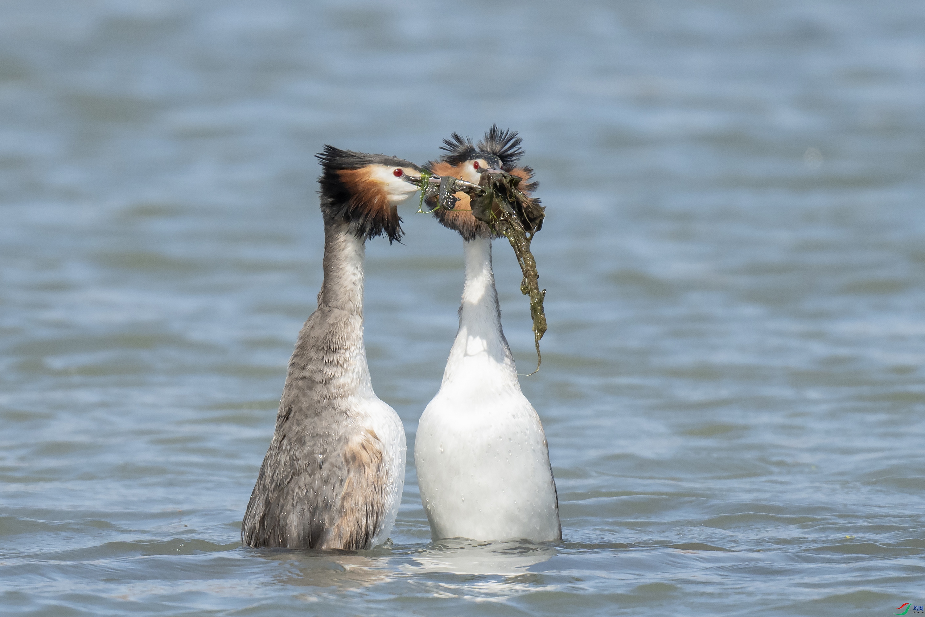 DSC_6880 ����.jpg