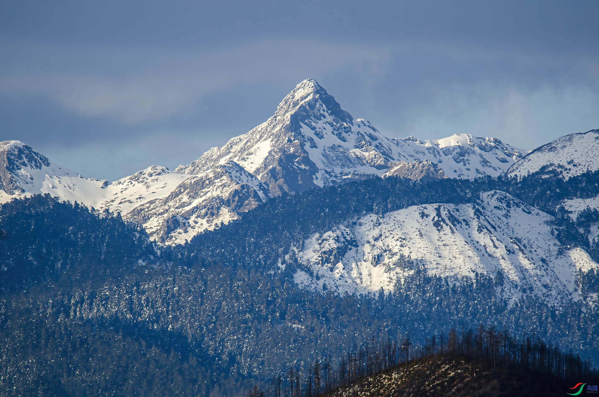DSC_4936.jpg