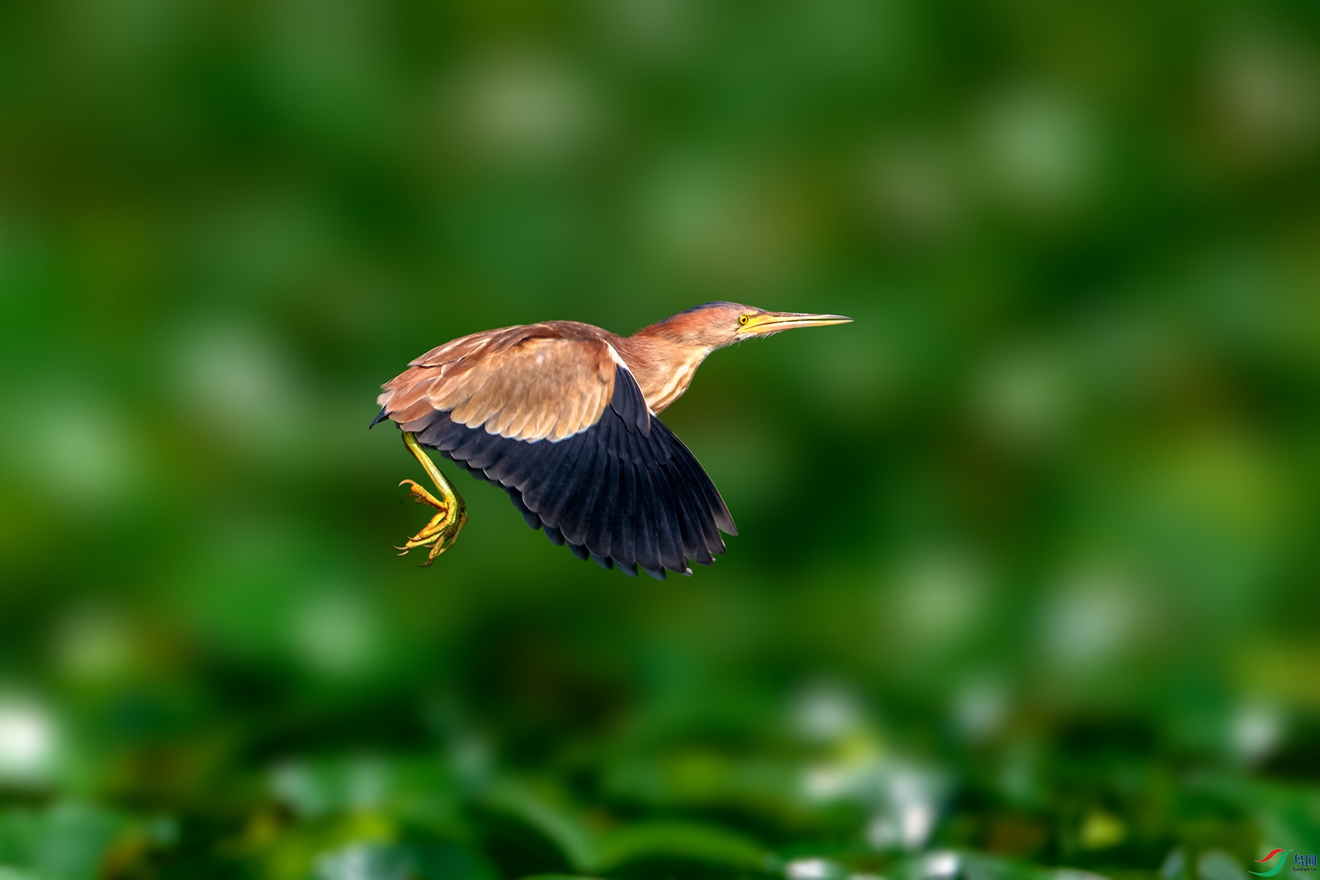 _AUU7127��έ�Z(24.8.1).jpg