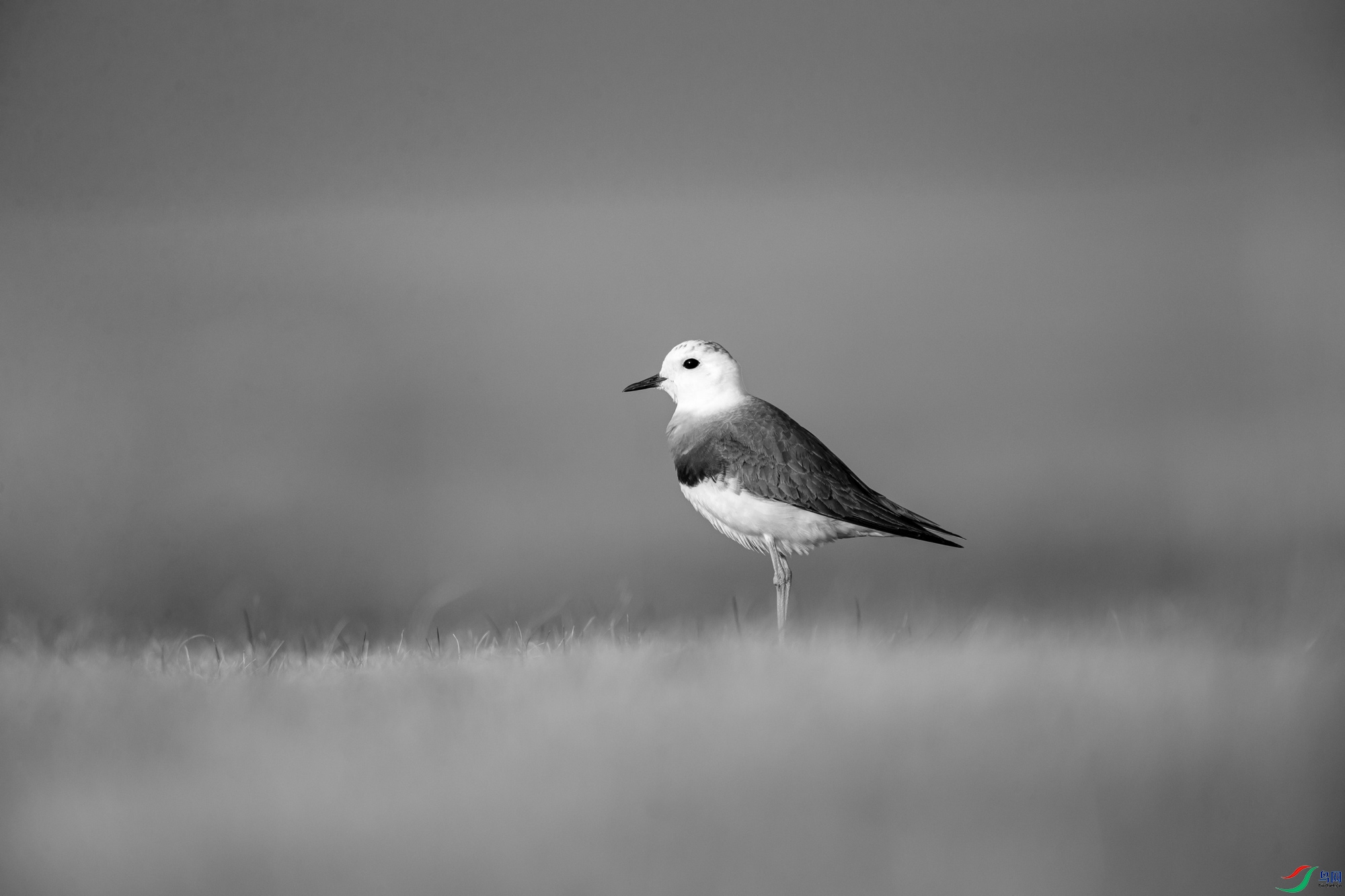 DSC_62160.jpg