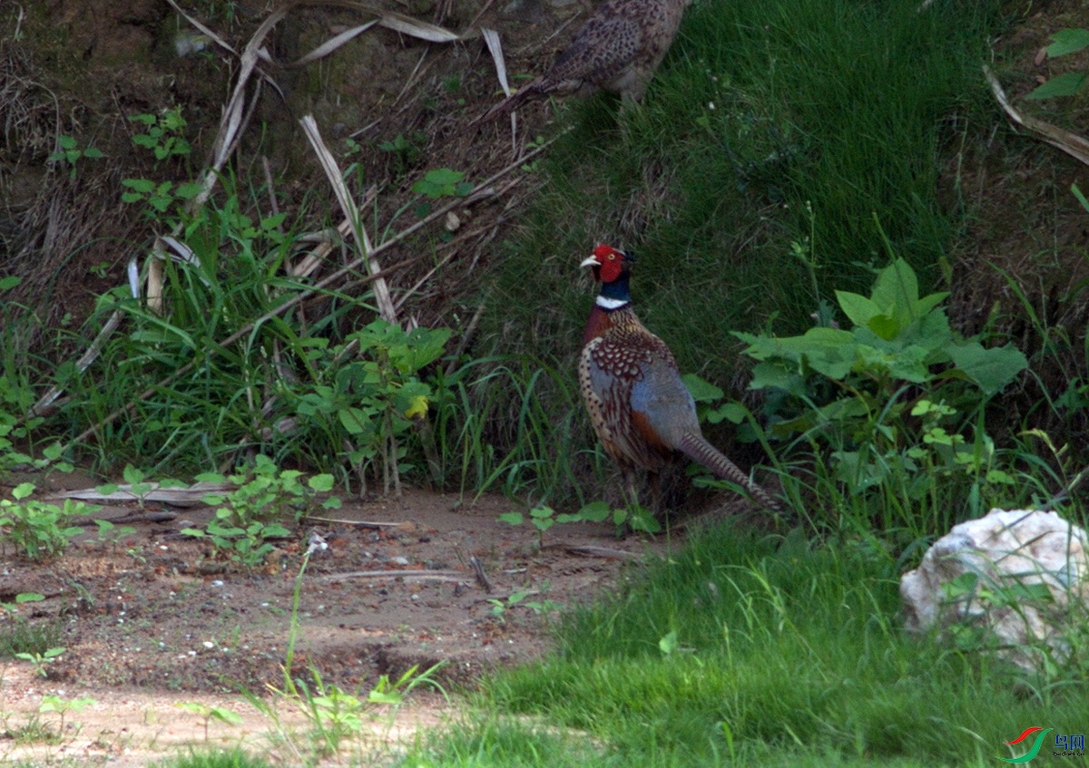 DSC_7316x_������С.jpg