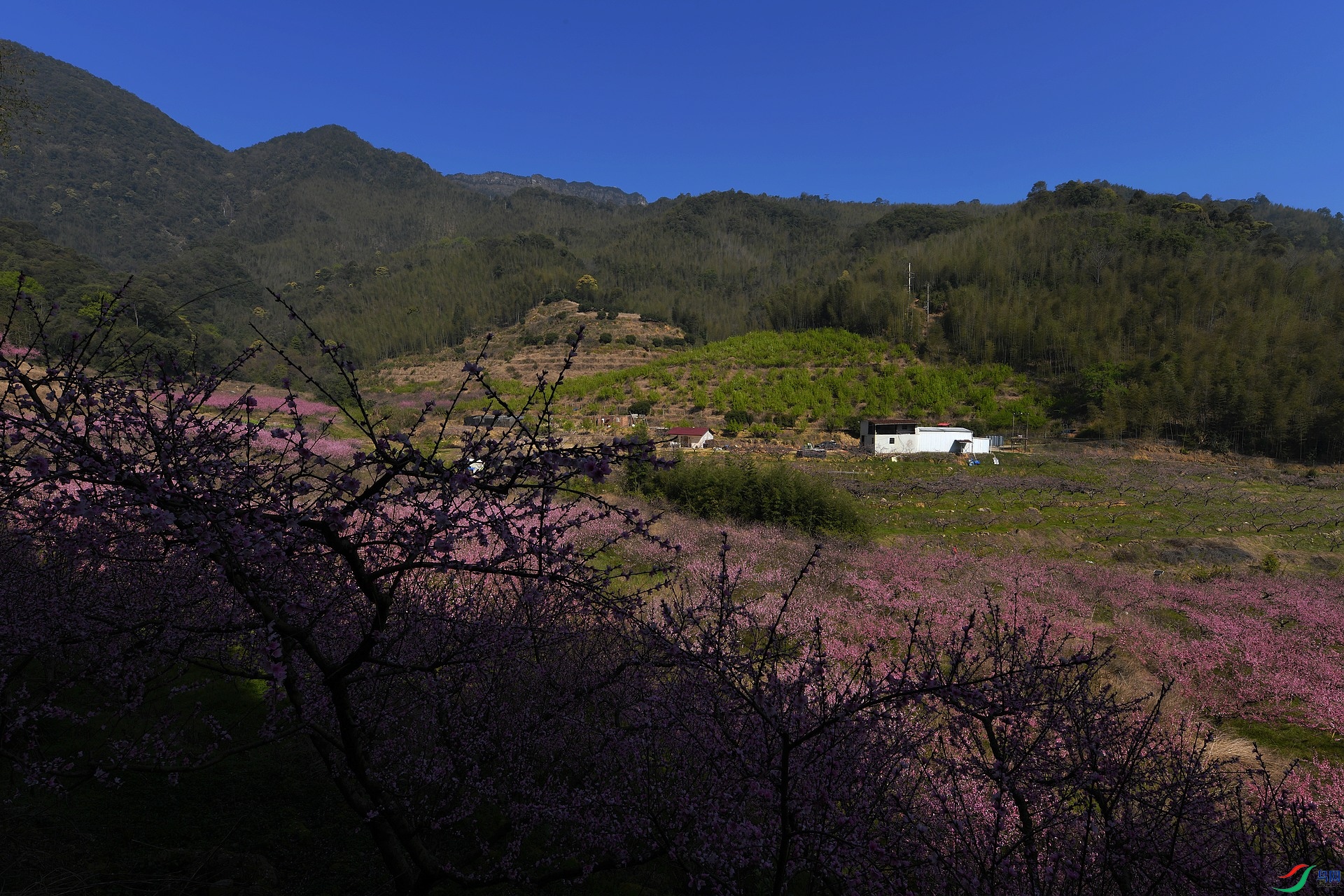 DSC_7179.jpg