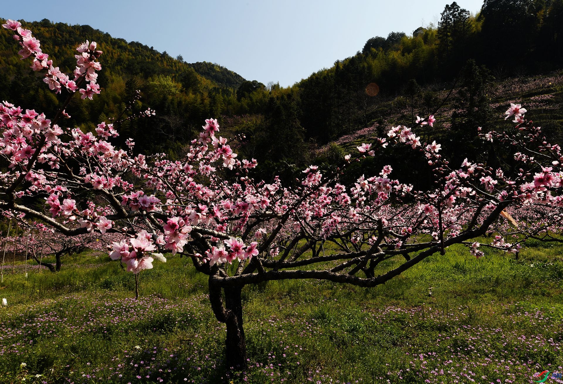 DSC_9167.jpg