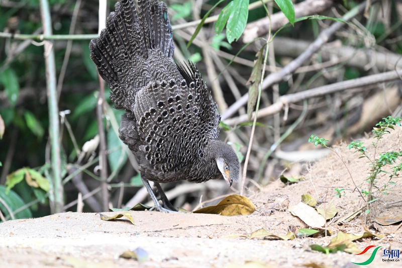 DSC_1257.JPG