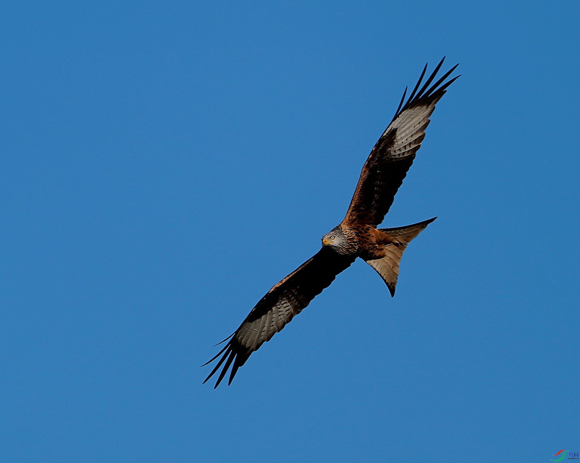 _DSC8912.JPG