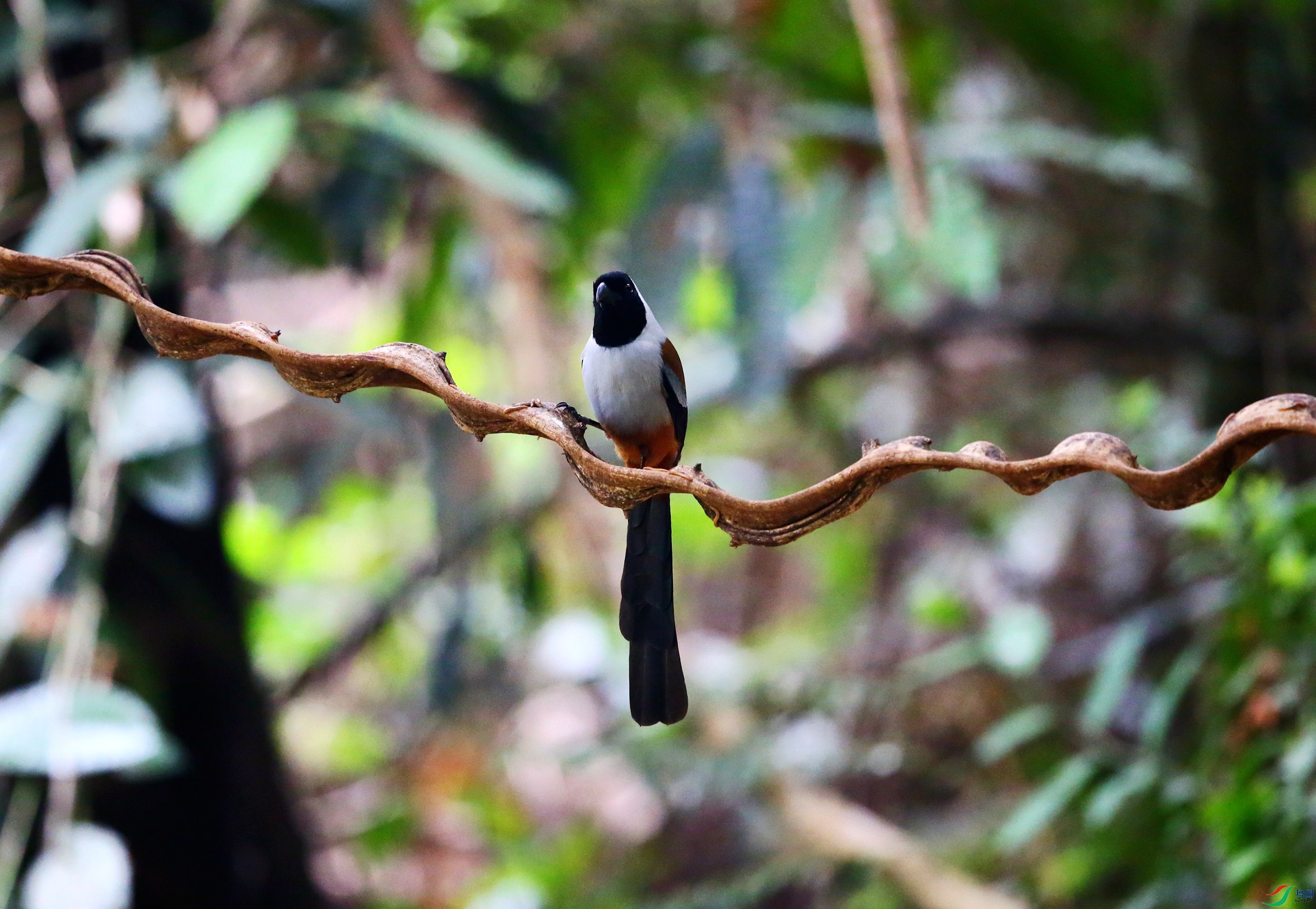 �ڶ����� (1).JPG