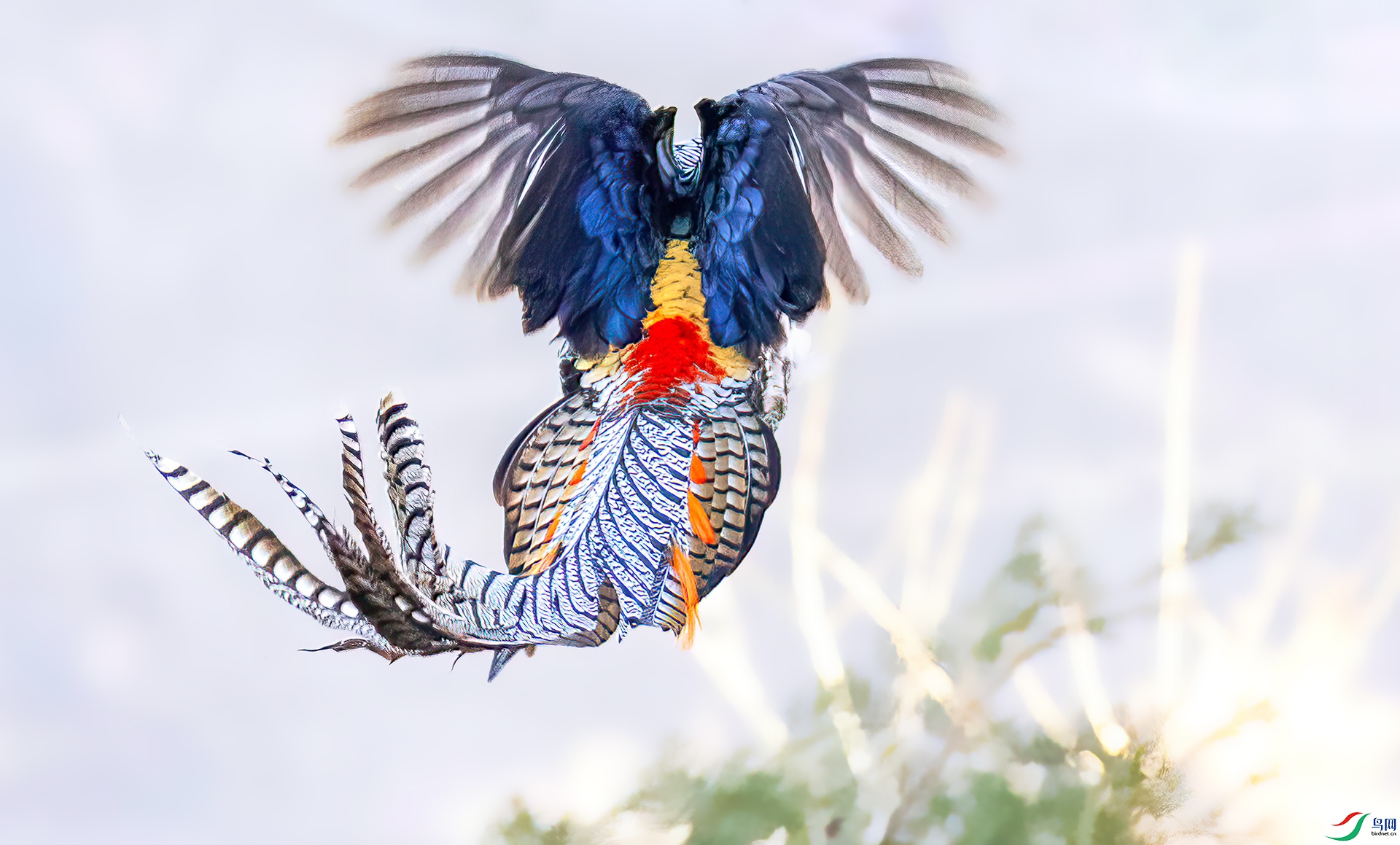 _07A2199 ����-Sha----1 .jpg