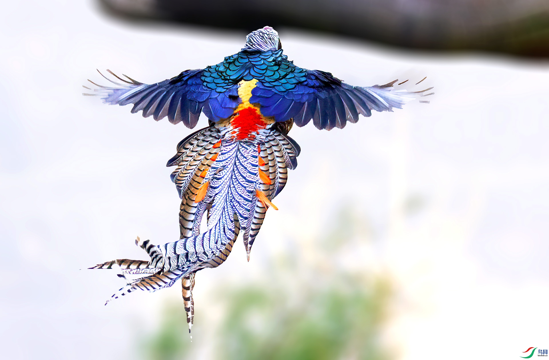 _07A2200 ����-Sh---1 .jpg