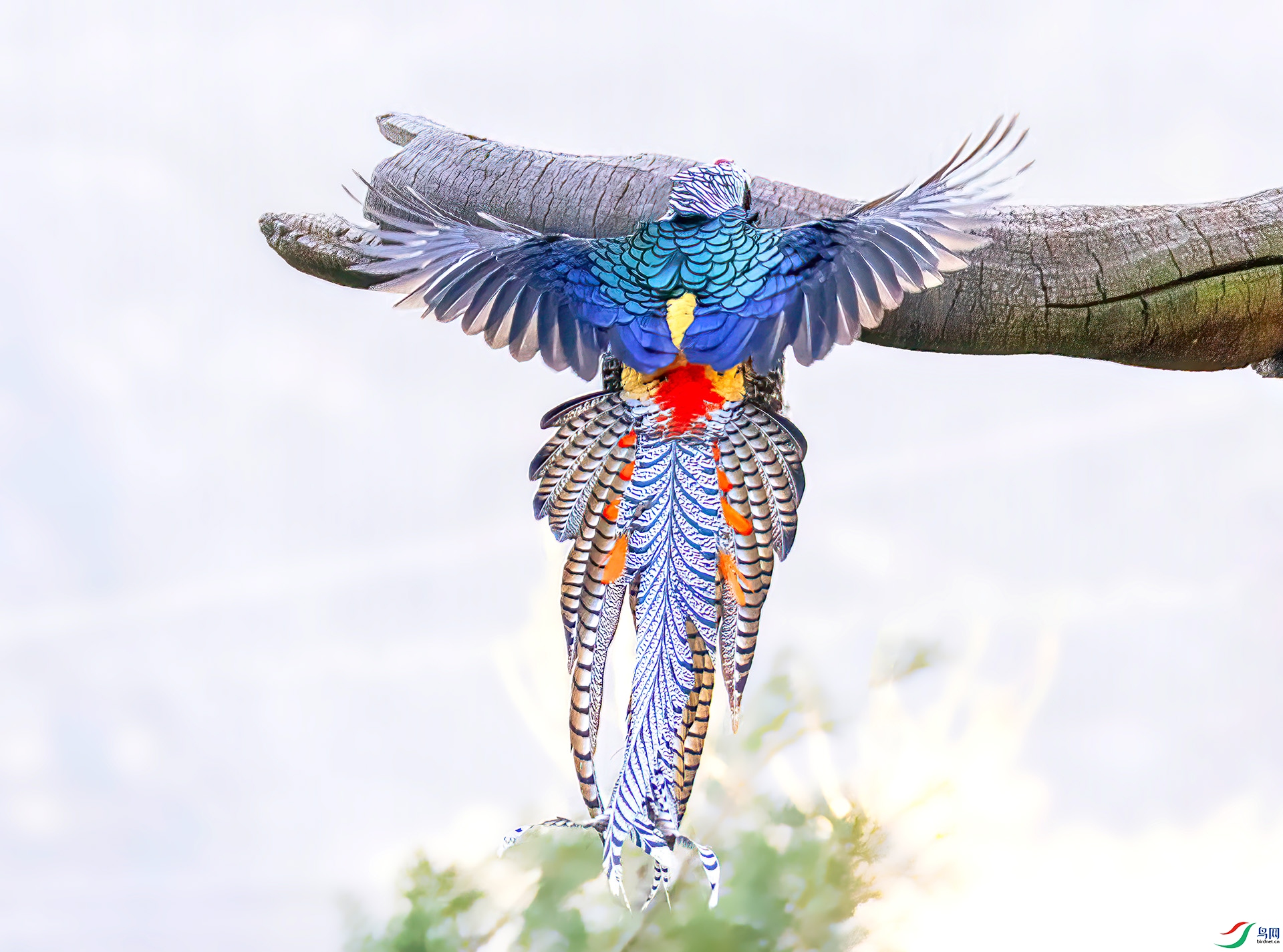 _07A2202 ����-Sh---1 .jpg