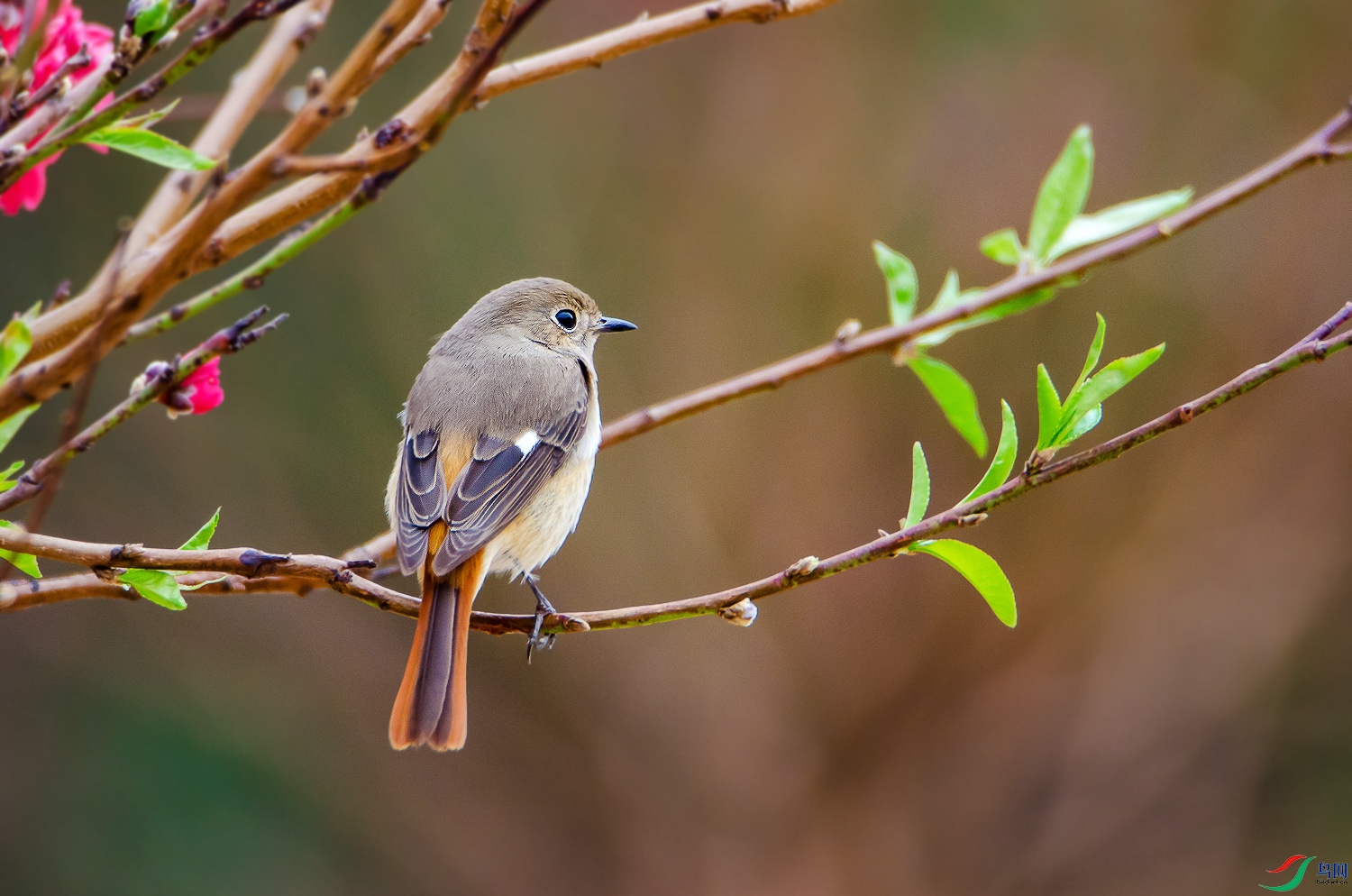 DSC_6177.jpg