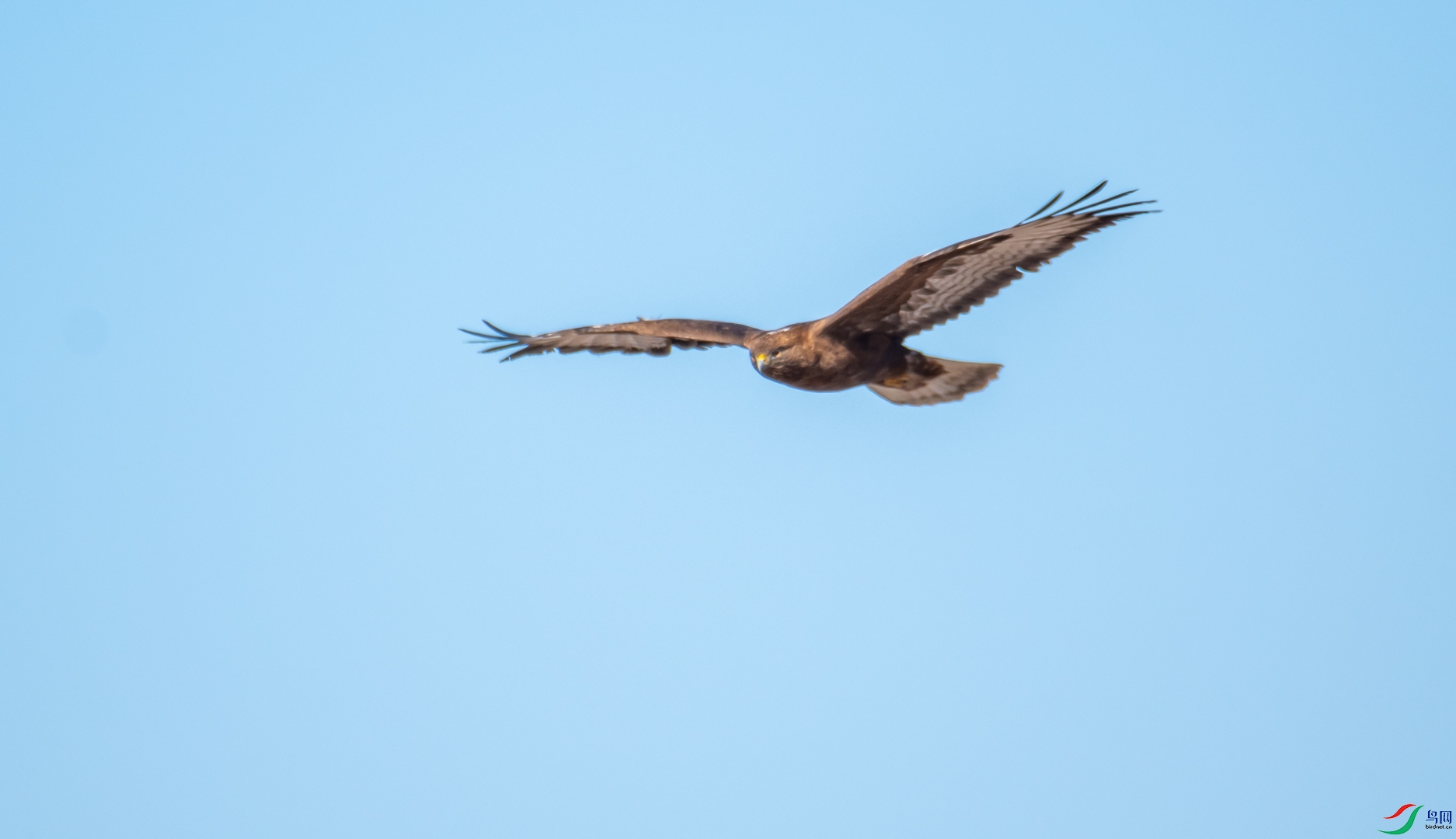 DSC_0054.jpg