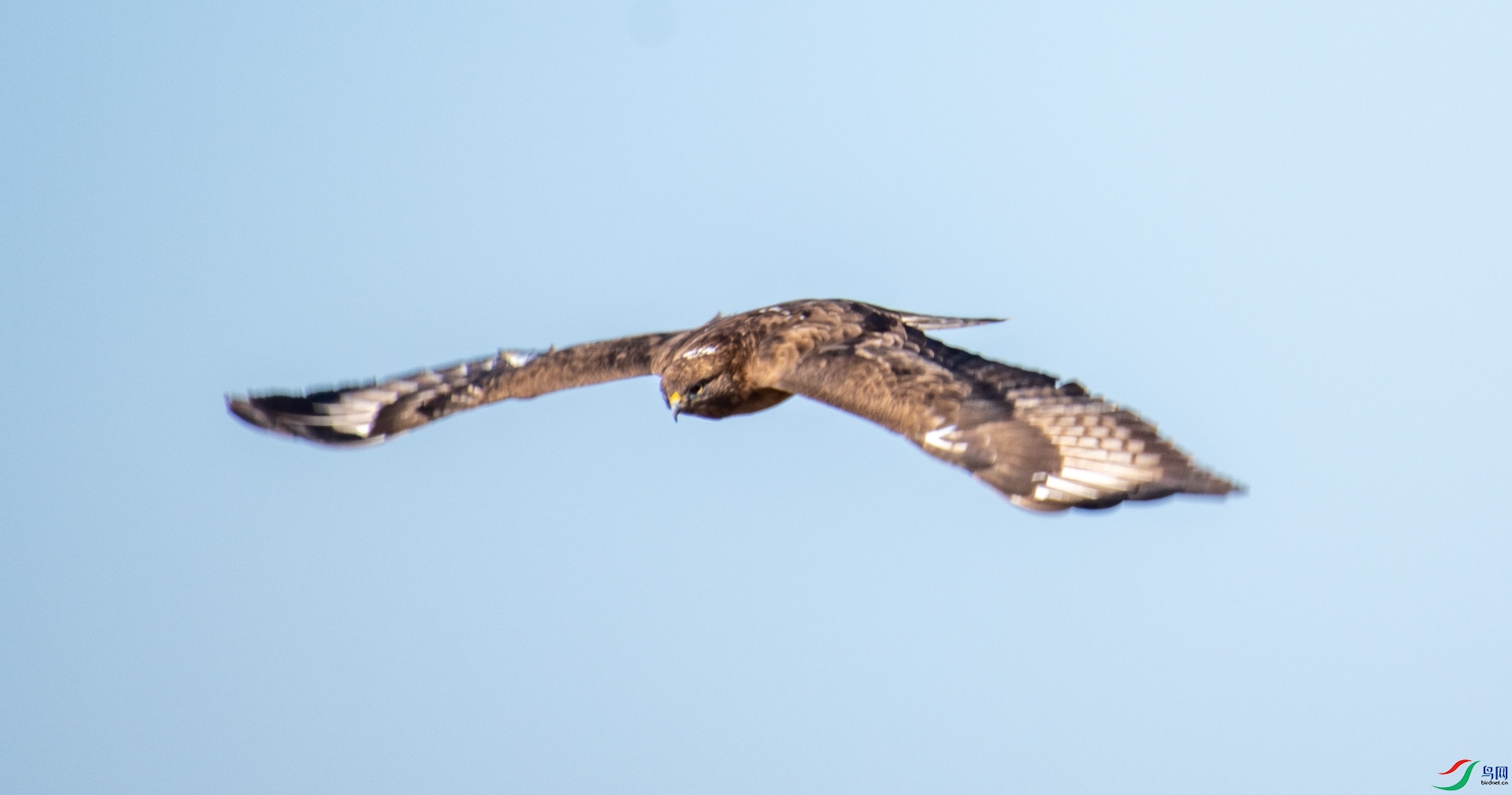 DSC_0076_1.jpg