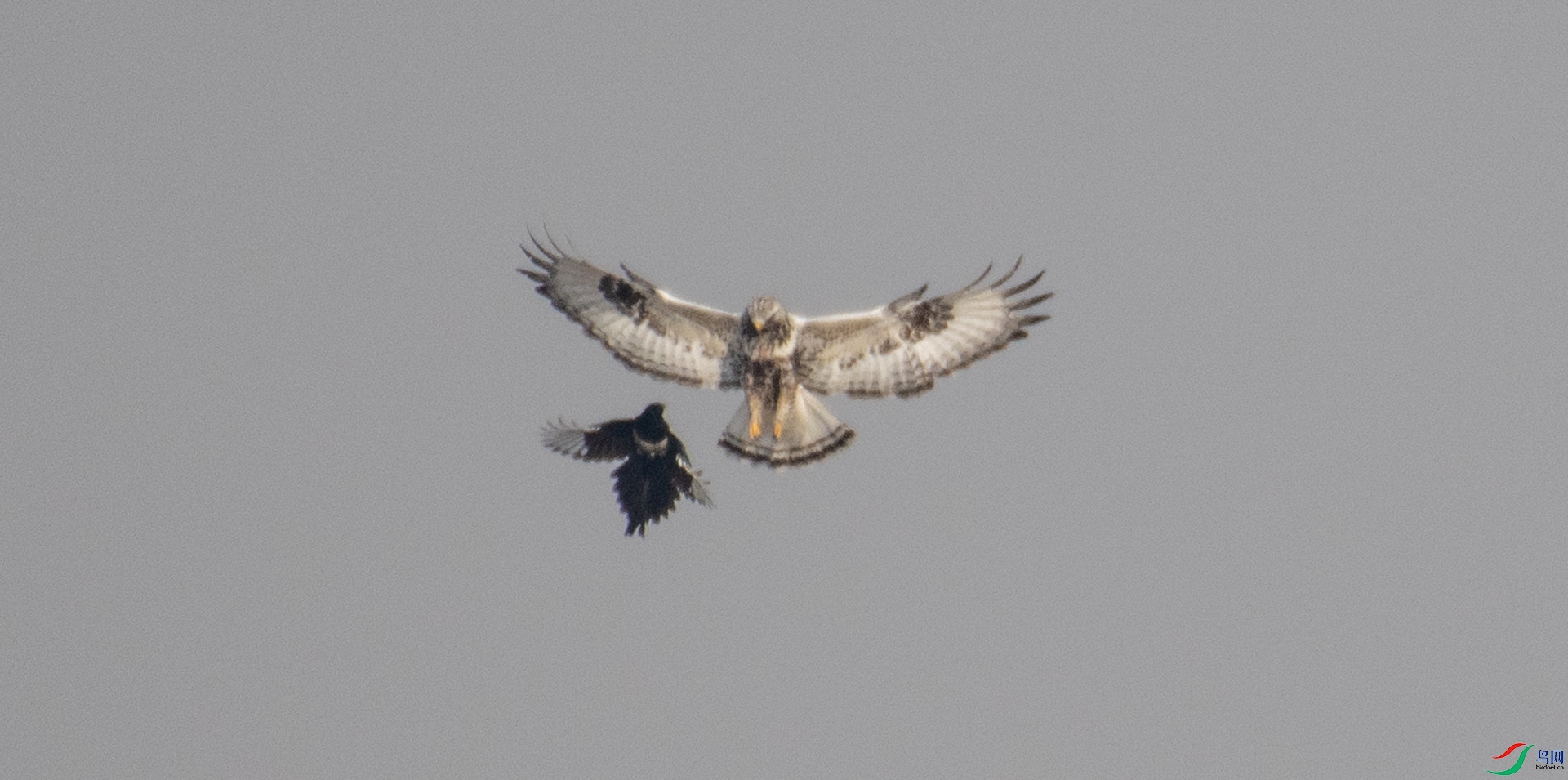 DSC_0901.jpg