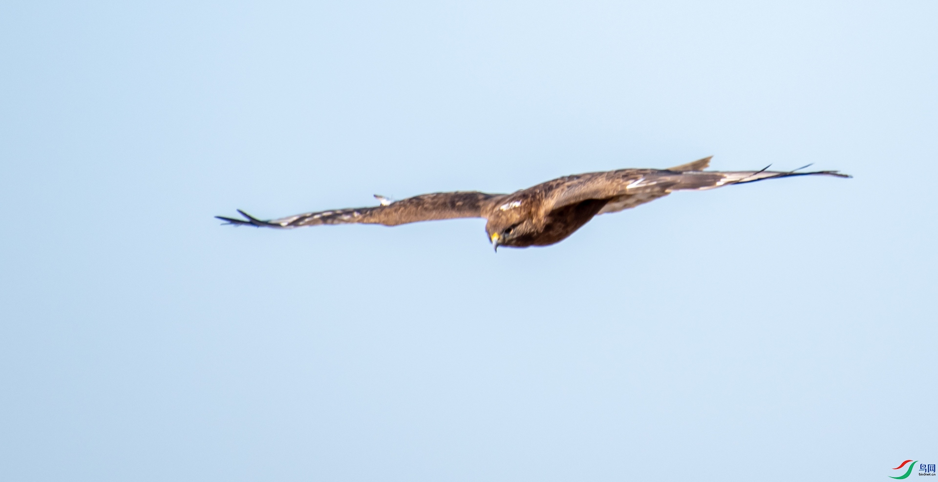 DSC_0077.jpg