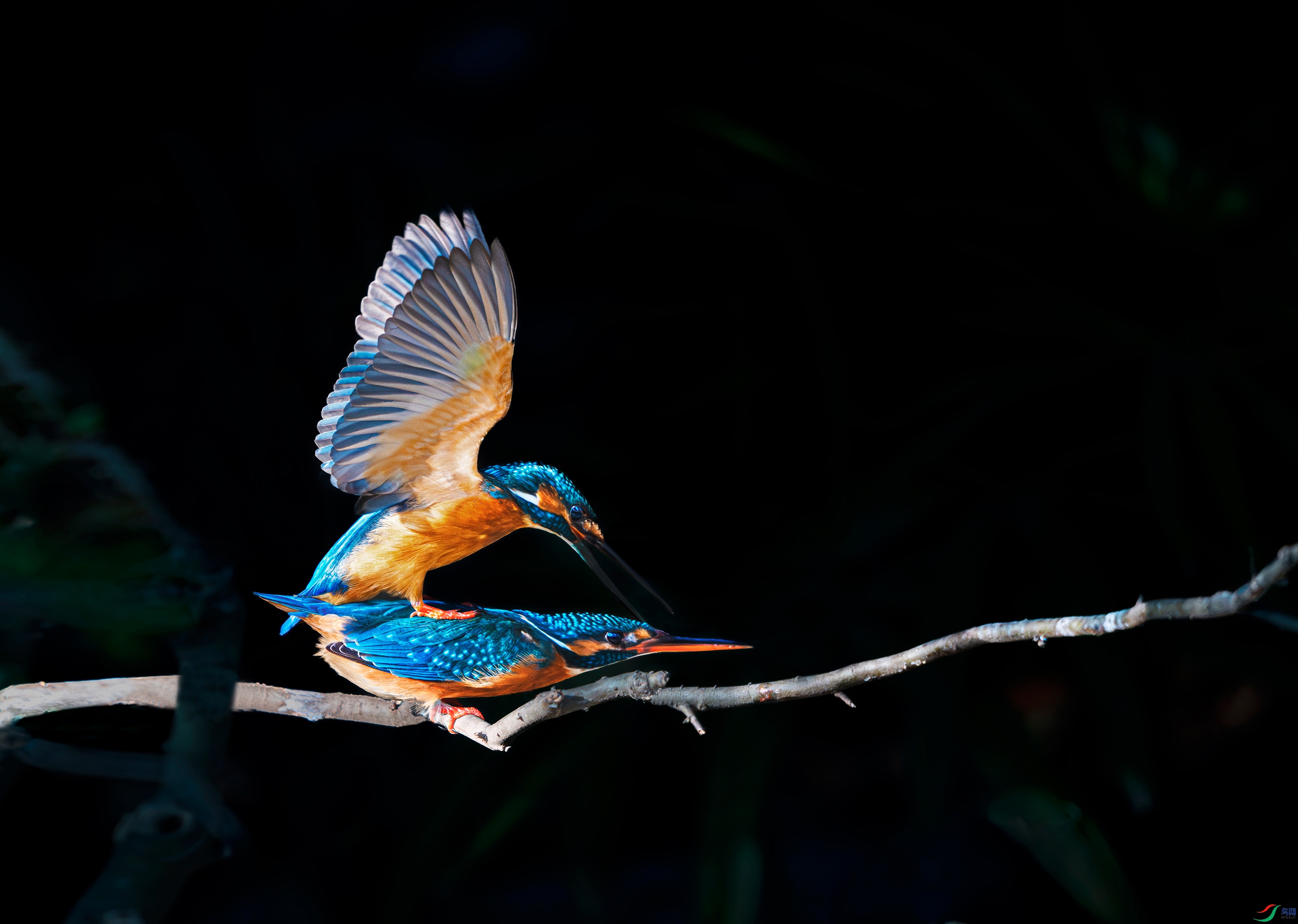 DSC_4125.jpg