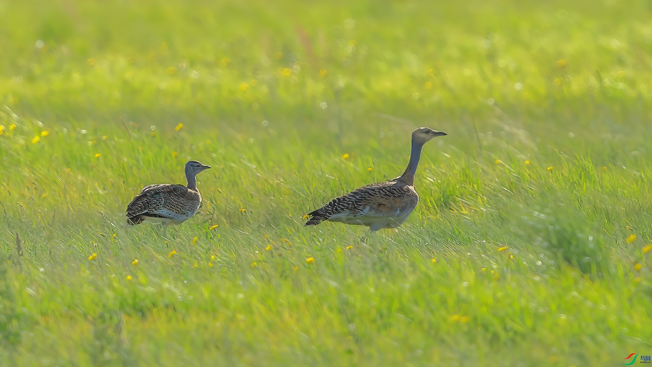 _09R0418 ����.jpg