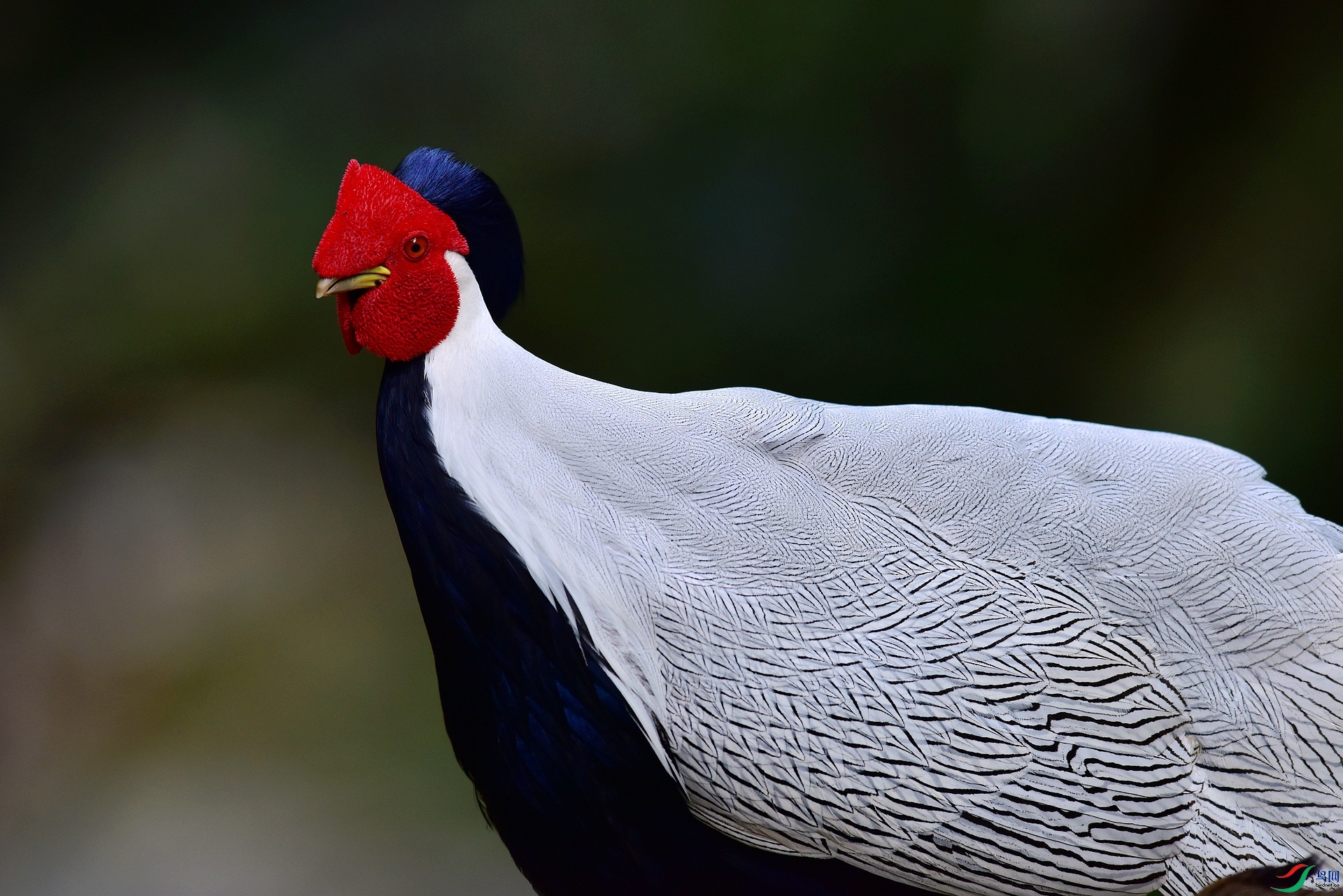 D8I_3573.jpg